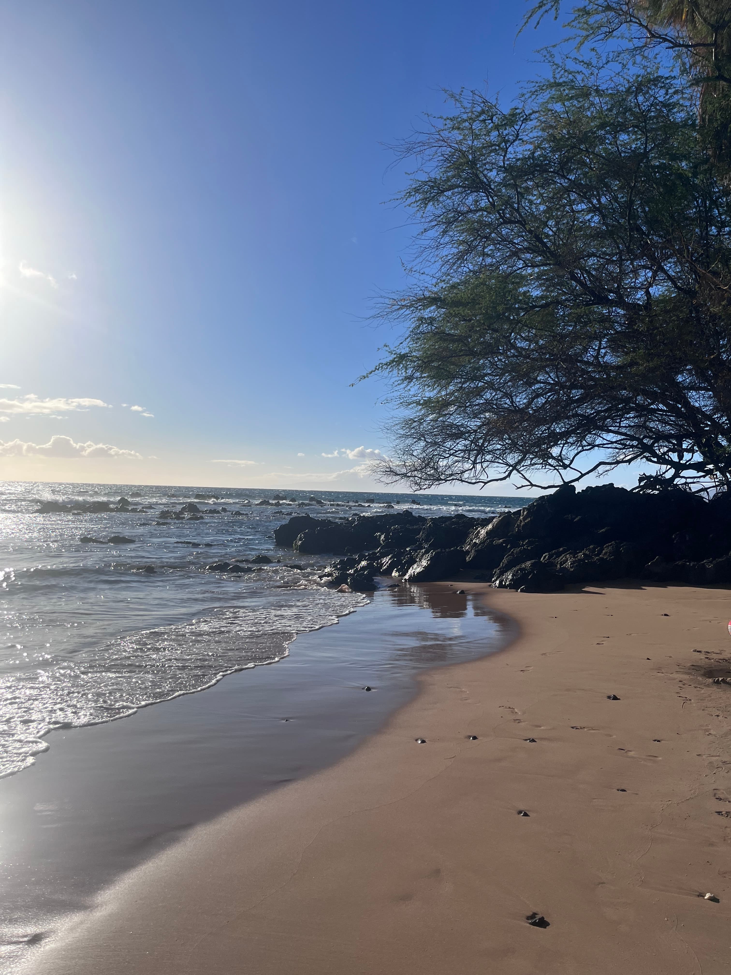 From Classroom to Coastline: Learning in Maui’s Outdoors curated by Melissa Cazier