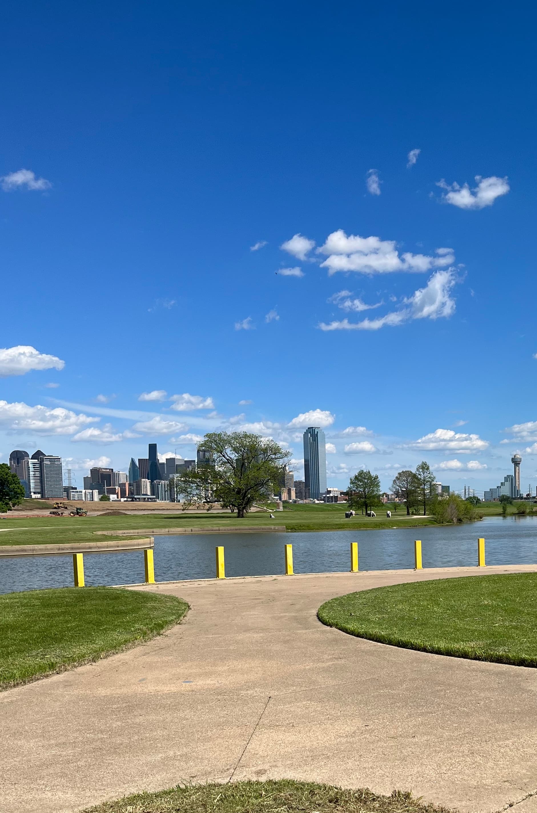 4 Days in Dallas: Walkable Spots Across the City curated by Elizabeth Hart