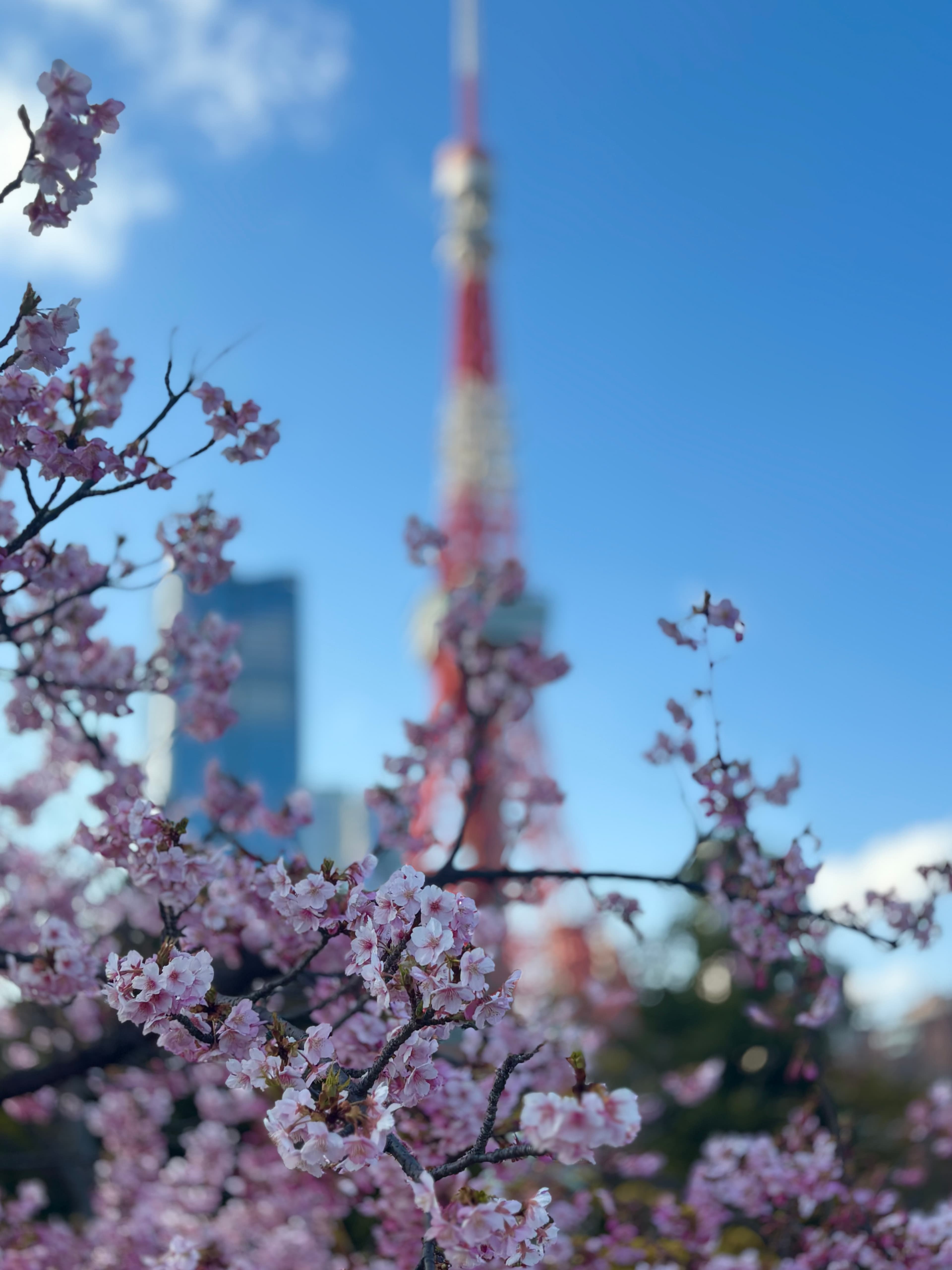 The Ultimate Family Guide to Tokyo curated by Lise Mulderig