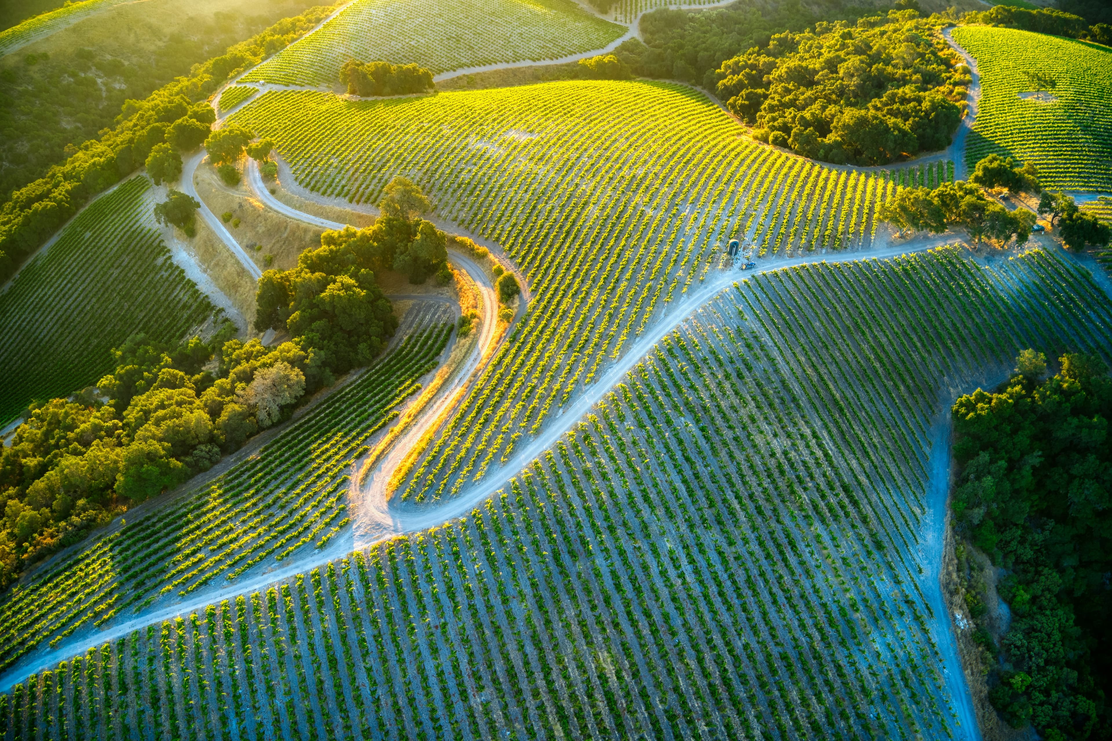 Discover Paso Robles curated by Keely Rosenthal