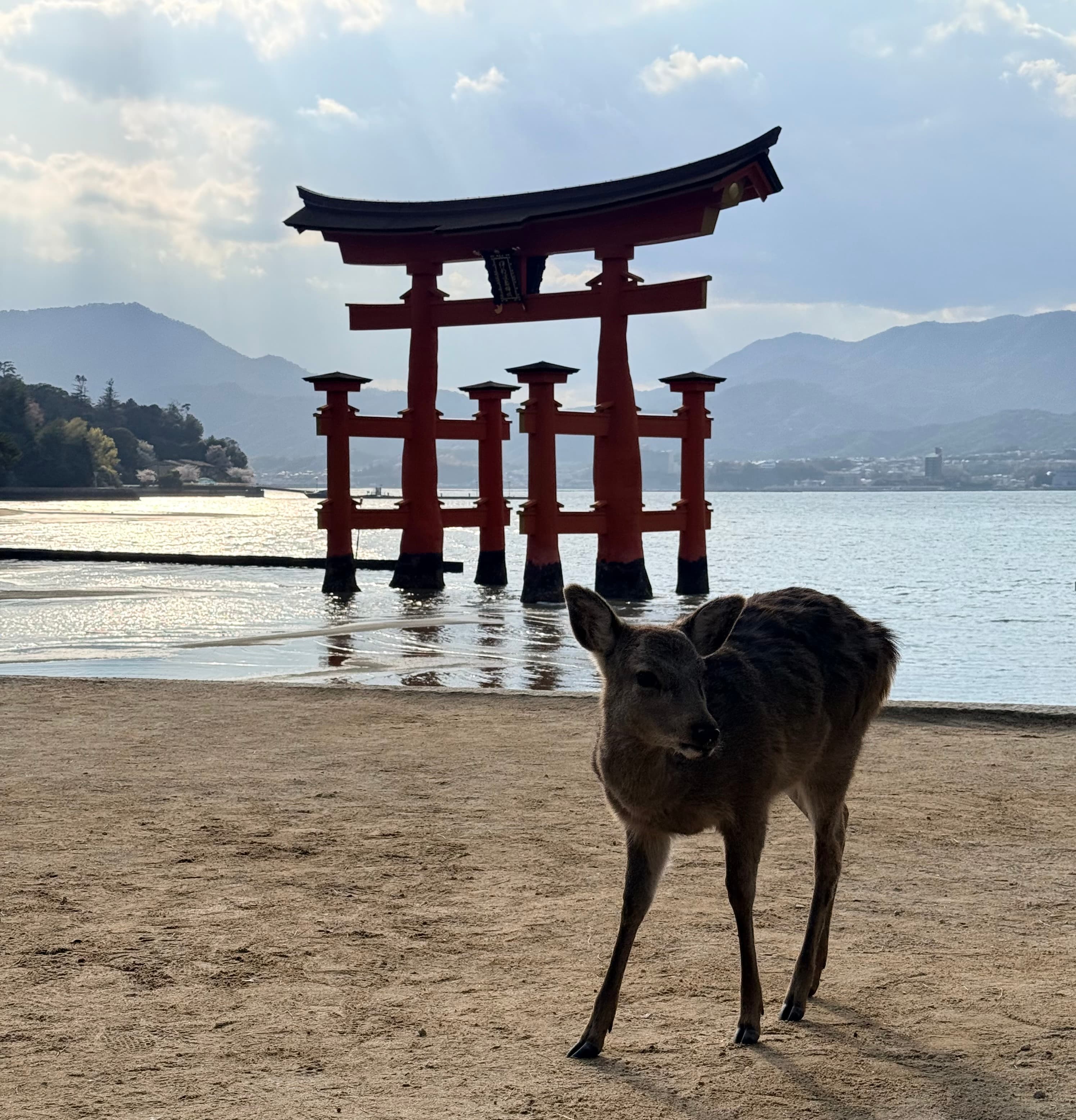 Travel photo 1