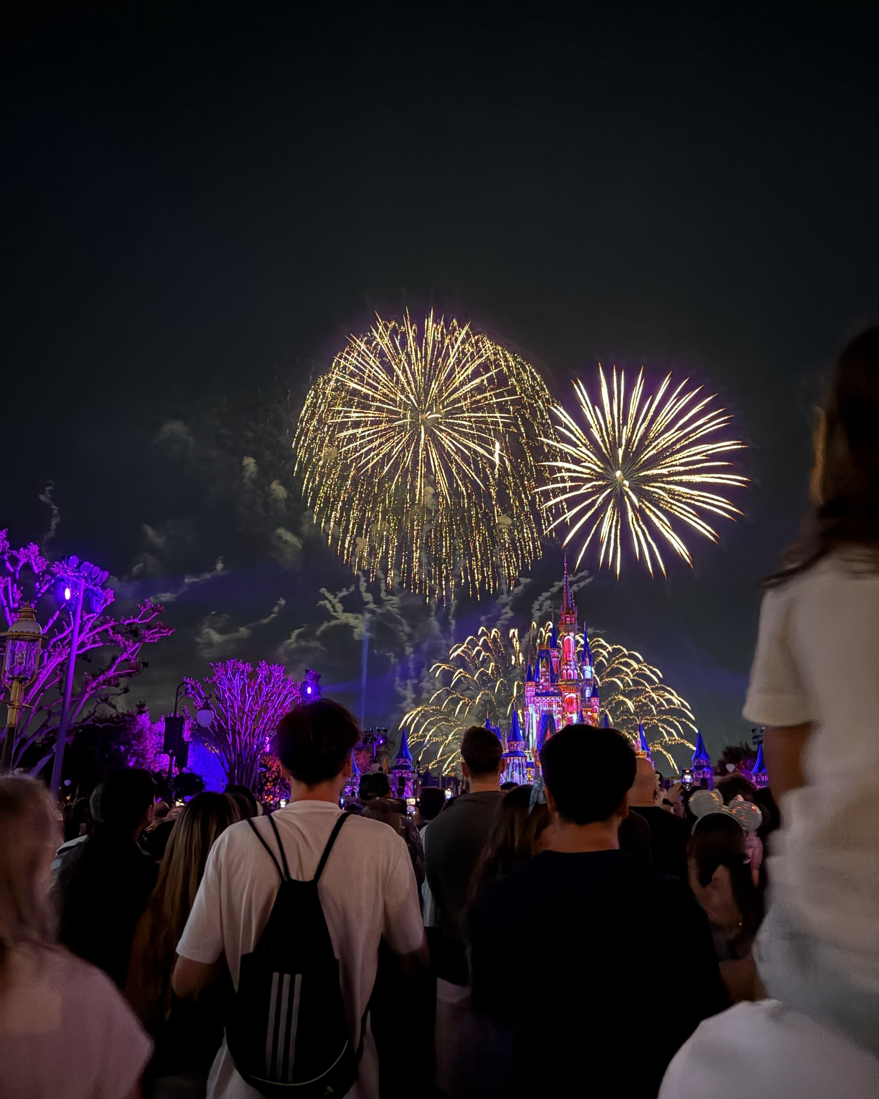 Orlando, Reimagined: A Family-Friendly Guide to Magic, Ease & Experience curated by Krystal Wilson