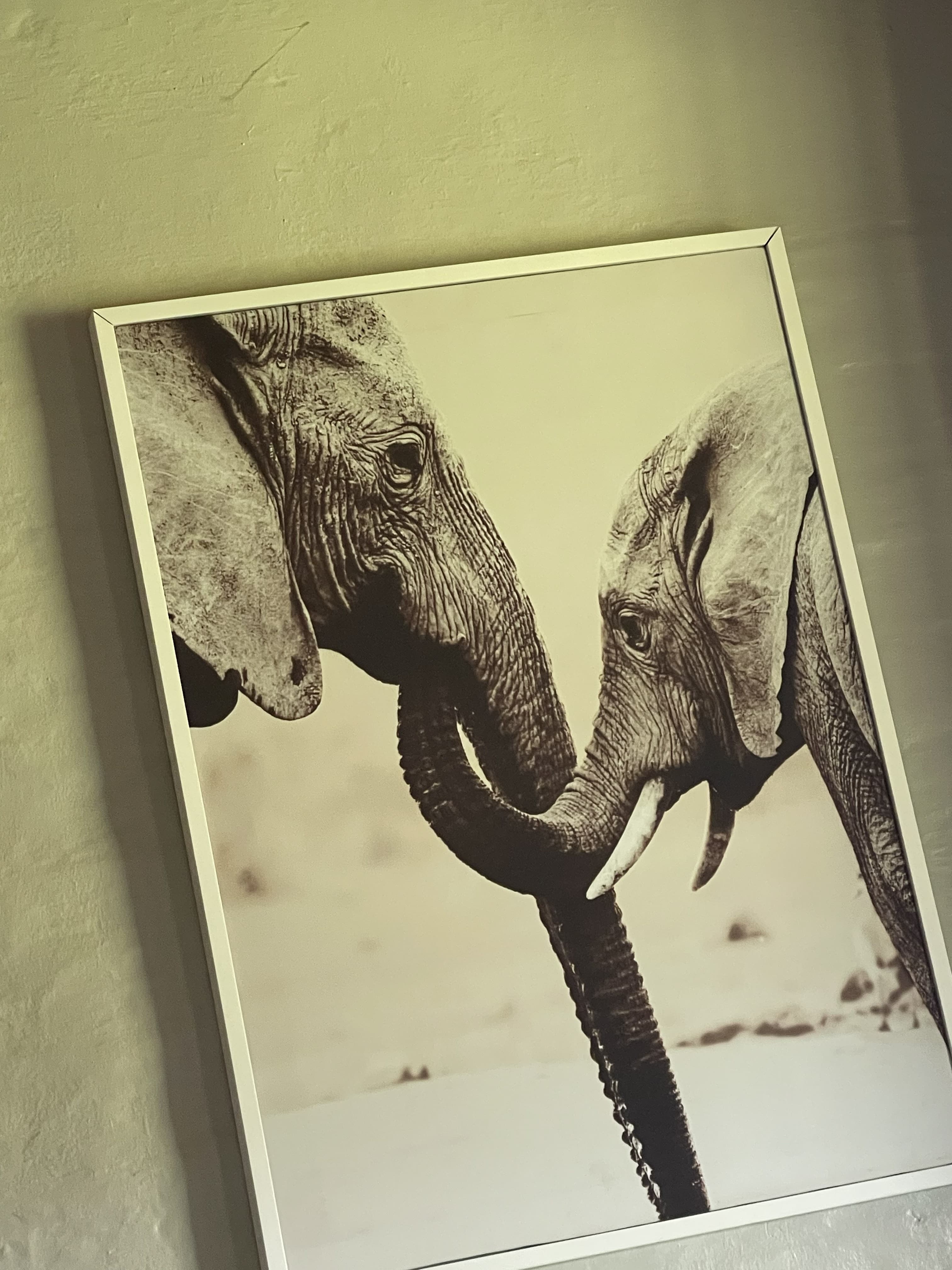 Victoria Falls & Chobe: Experiencing Southern Africa’s Greatest Natural Wonder from 3 Countries curated by Summer Hartley