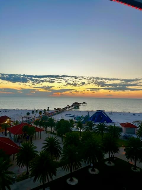 Marine Life Paradise: Ultimate Guide to Clearwater Beach, Florida curated by Andrew Herrera