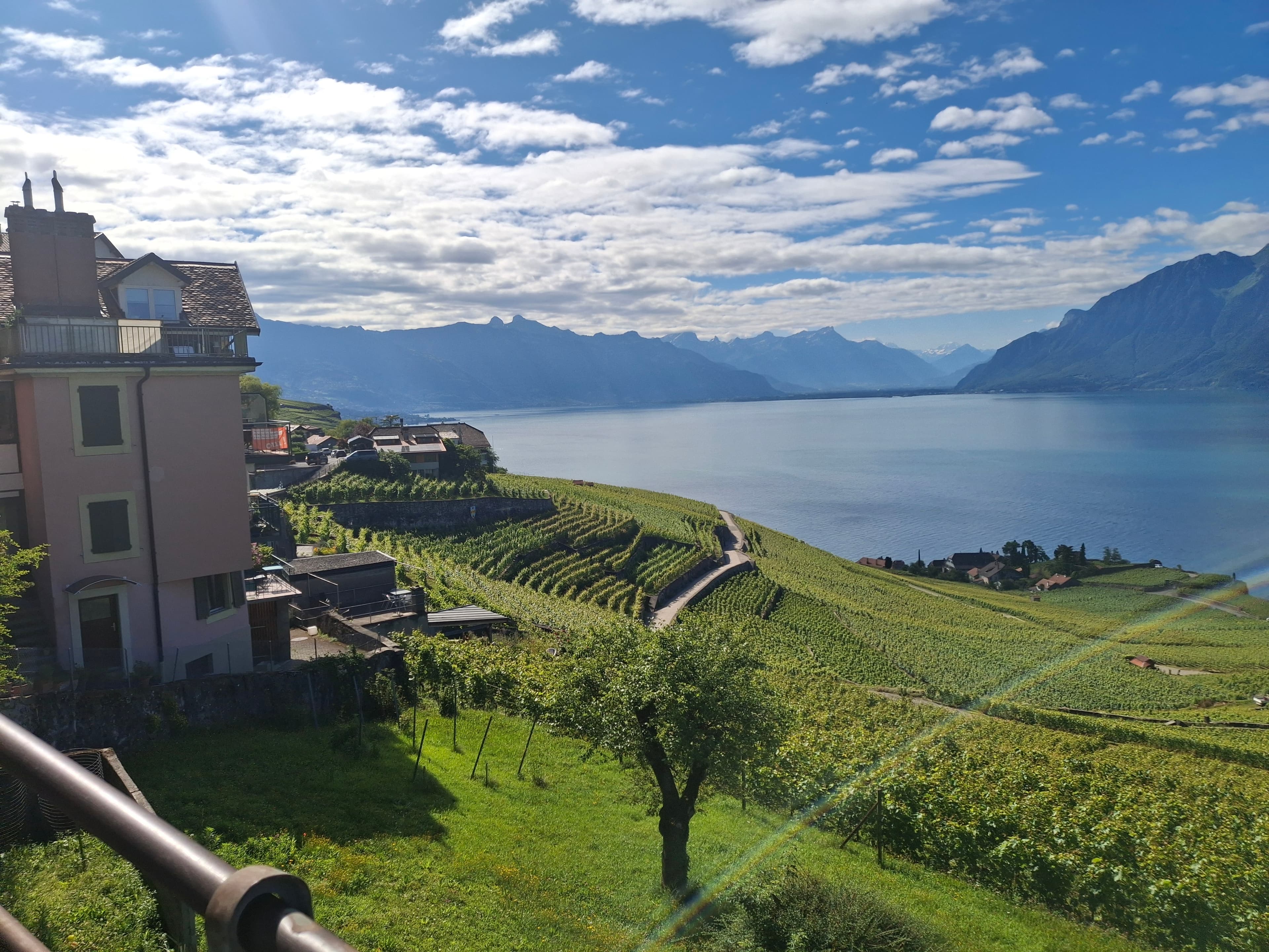 Lausanne: An Olympic Journey of Swiss Art, Wine & Wellness curated by Khadija Woods