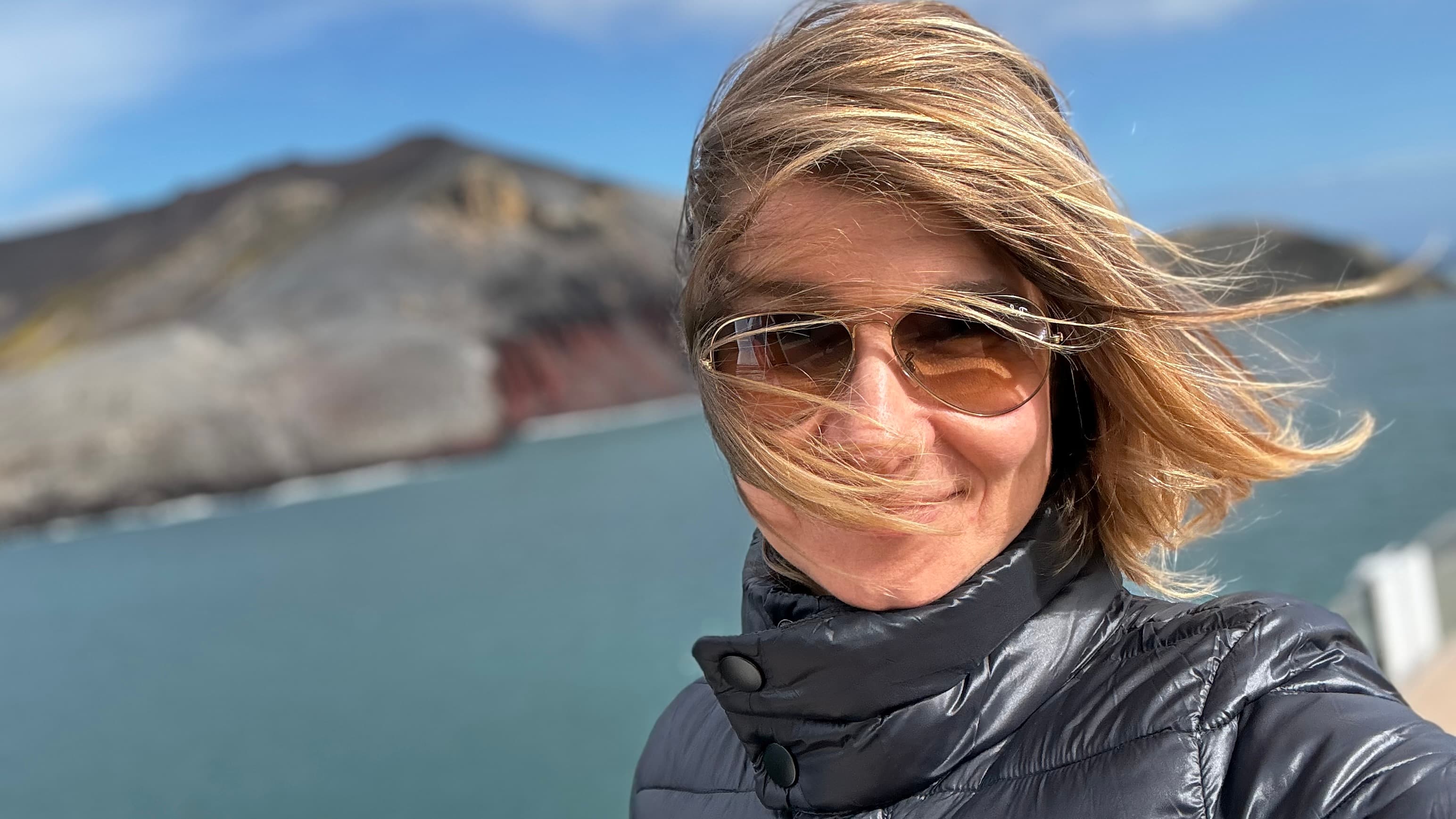Antarctica: A Field Guide for the Traveler Who Has Been Everywhere Else curated by Monika Norvilaite