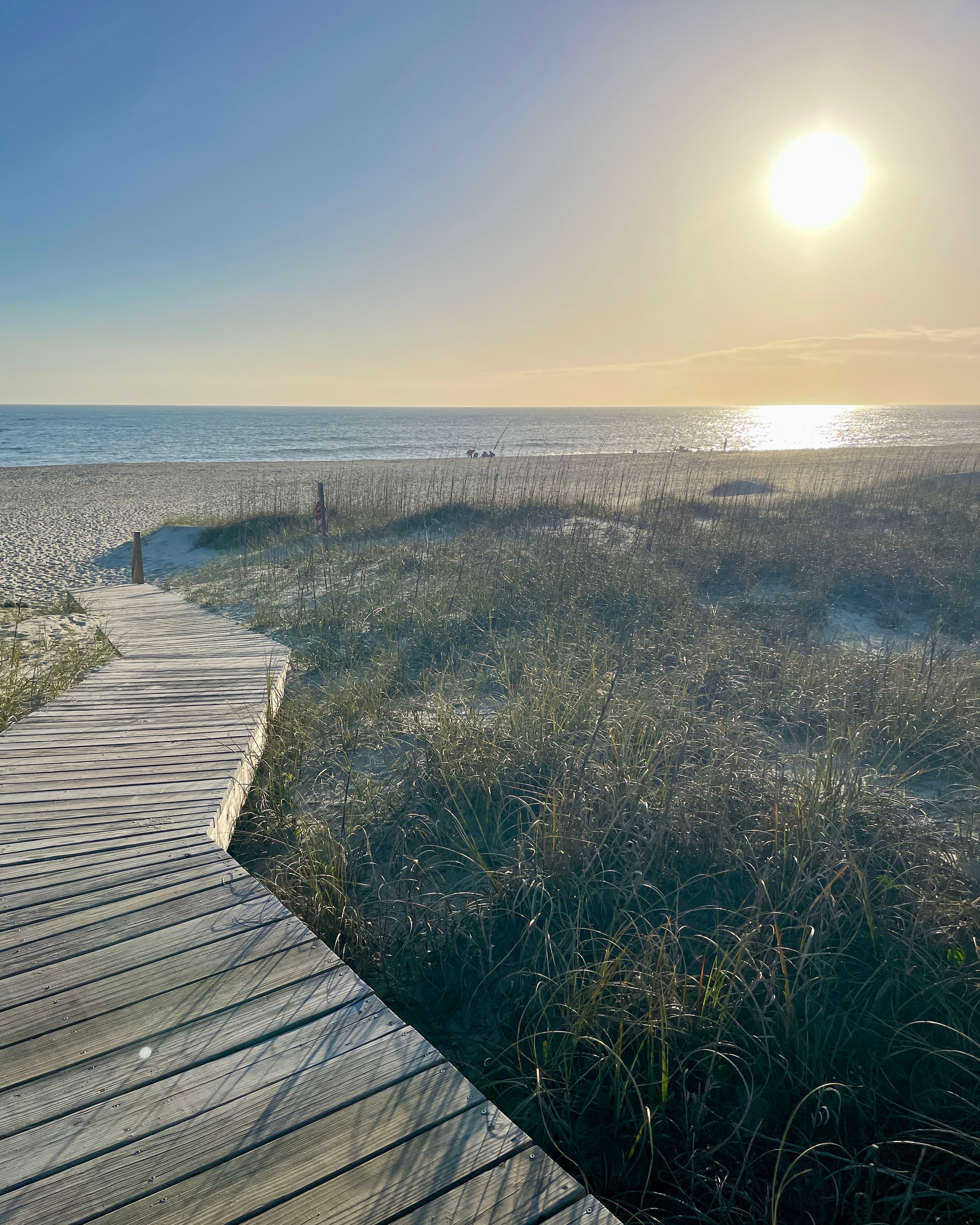 Coastal Calm: A Guide to the Car-Free Magic of Bald Head Island curated by Joslyn Weaver