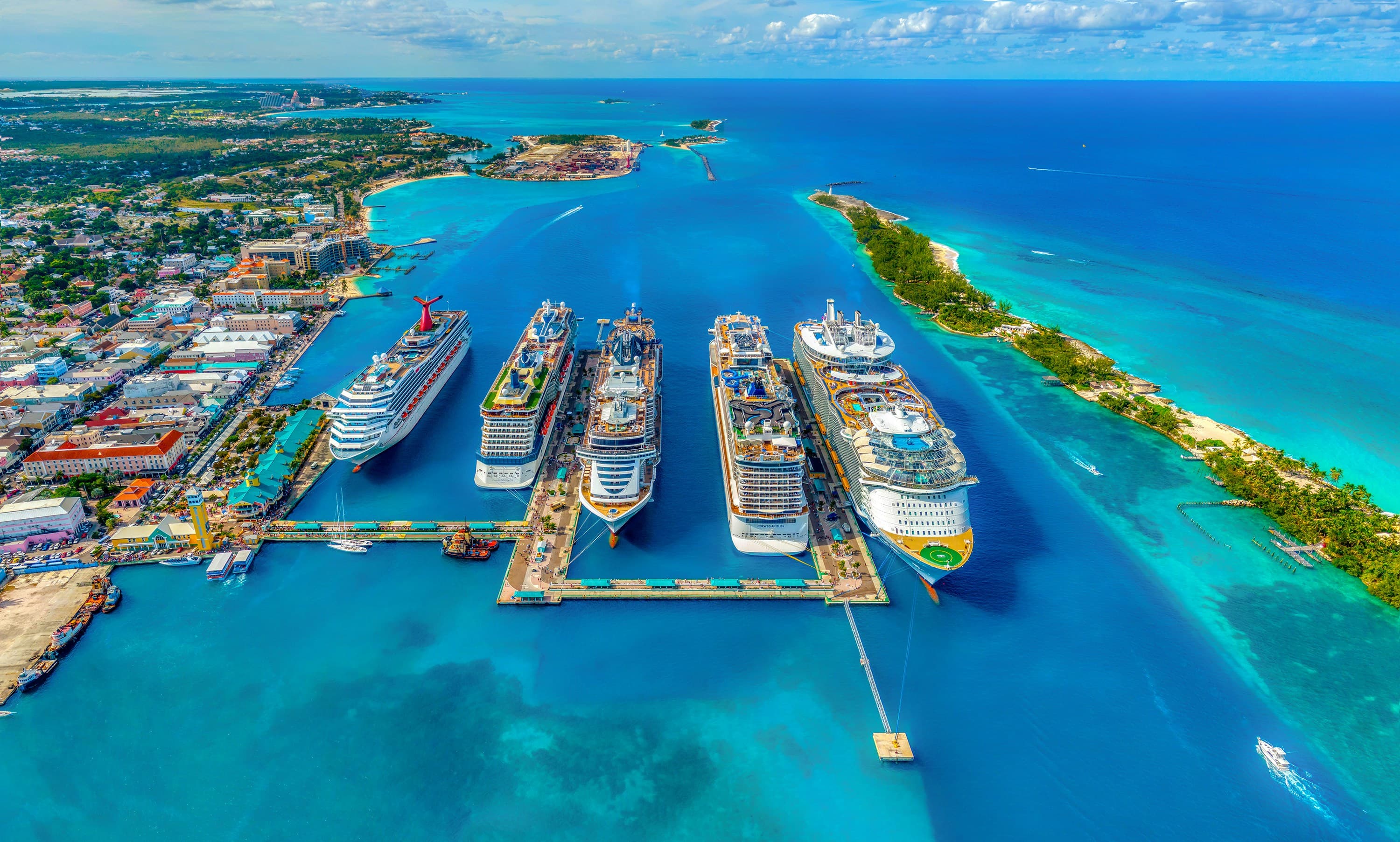 Caribbean Family Reunion: A 5-Day Multi-Generational Cruise curated by Amber Fleming