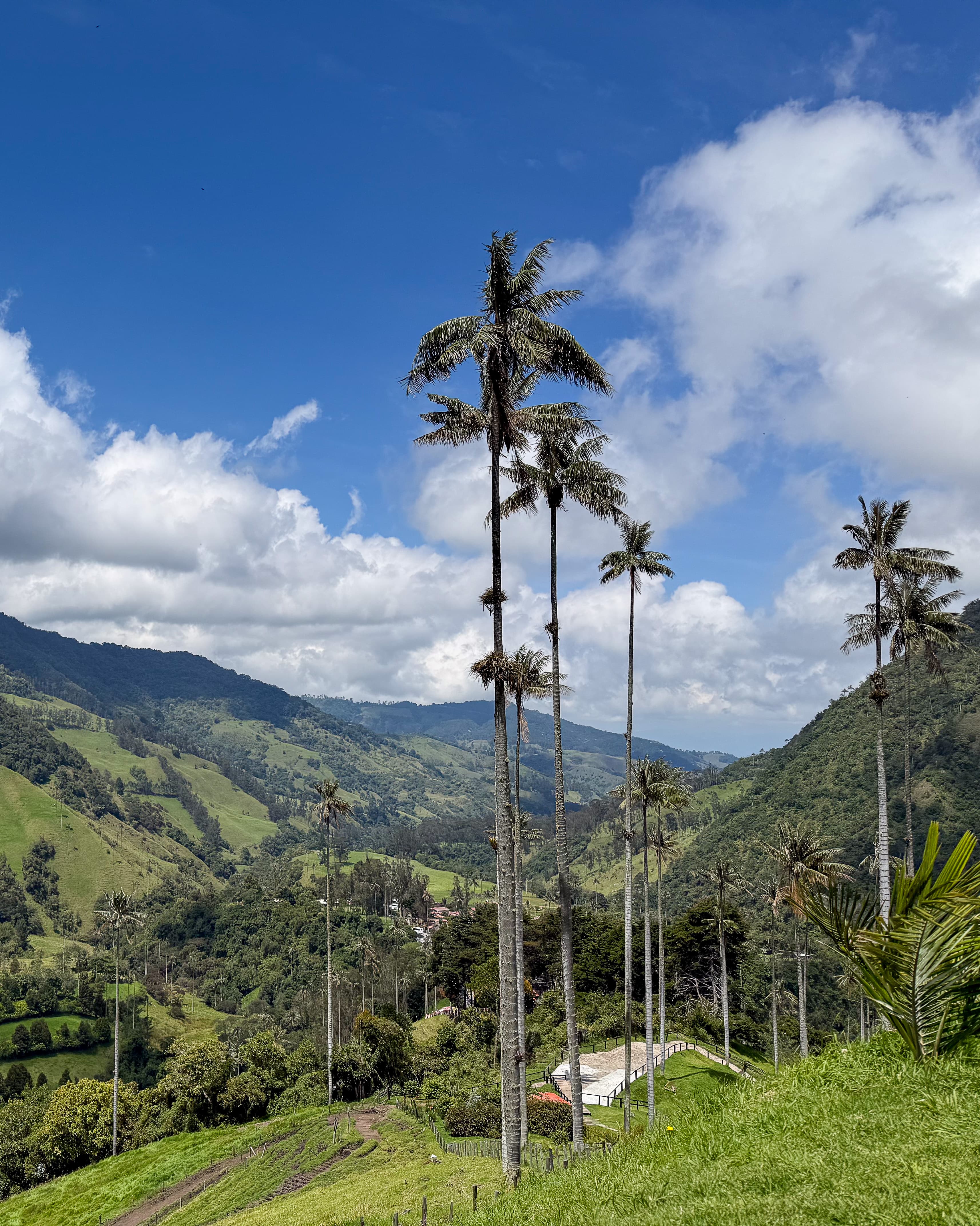 Salento: Peaks, Palms & Pour-Overs curated by Trina Henry