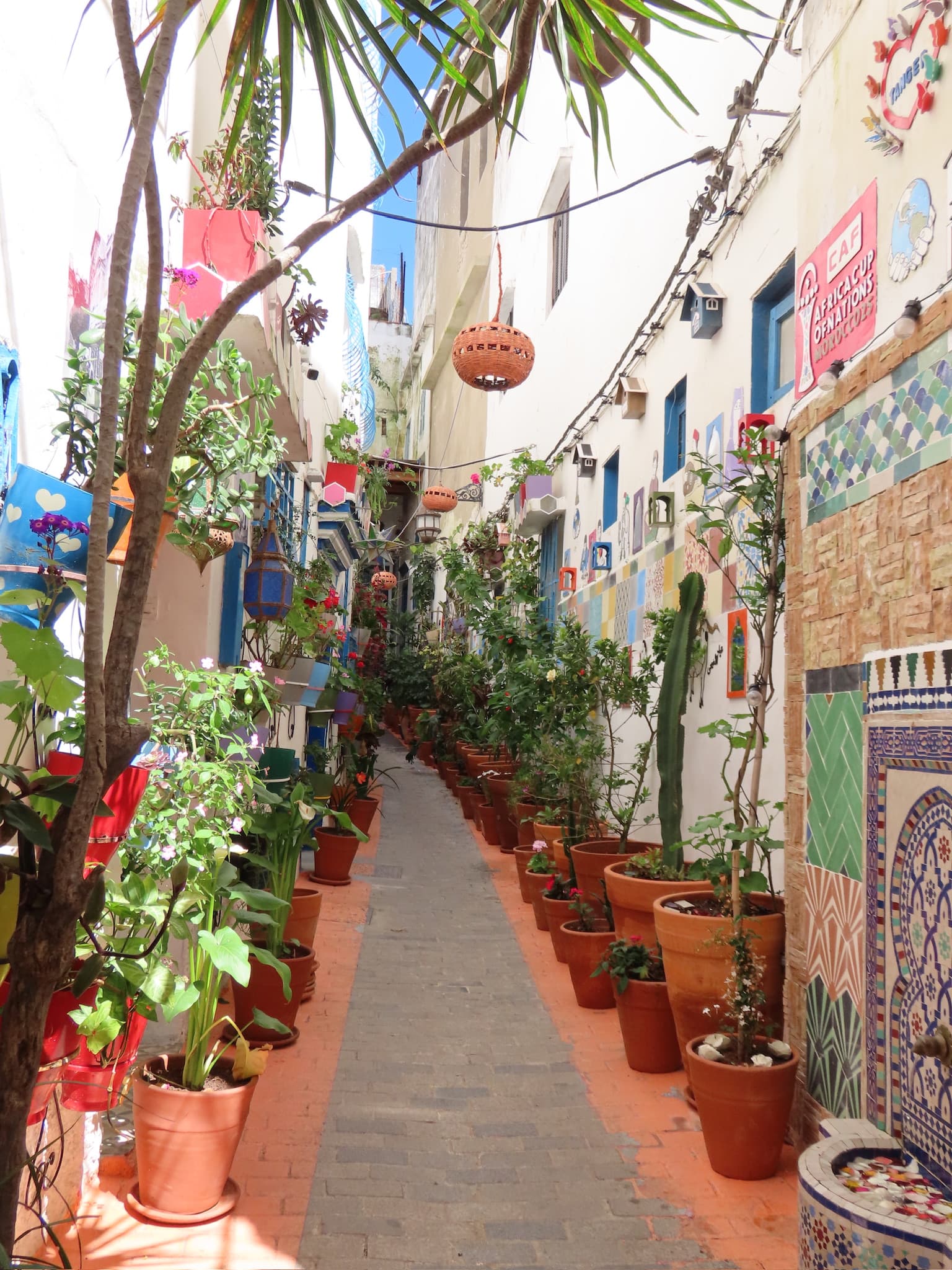 Travel photo 6