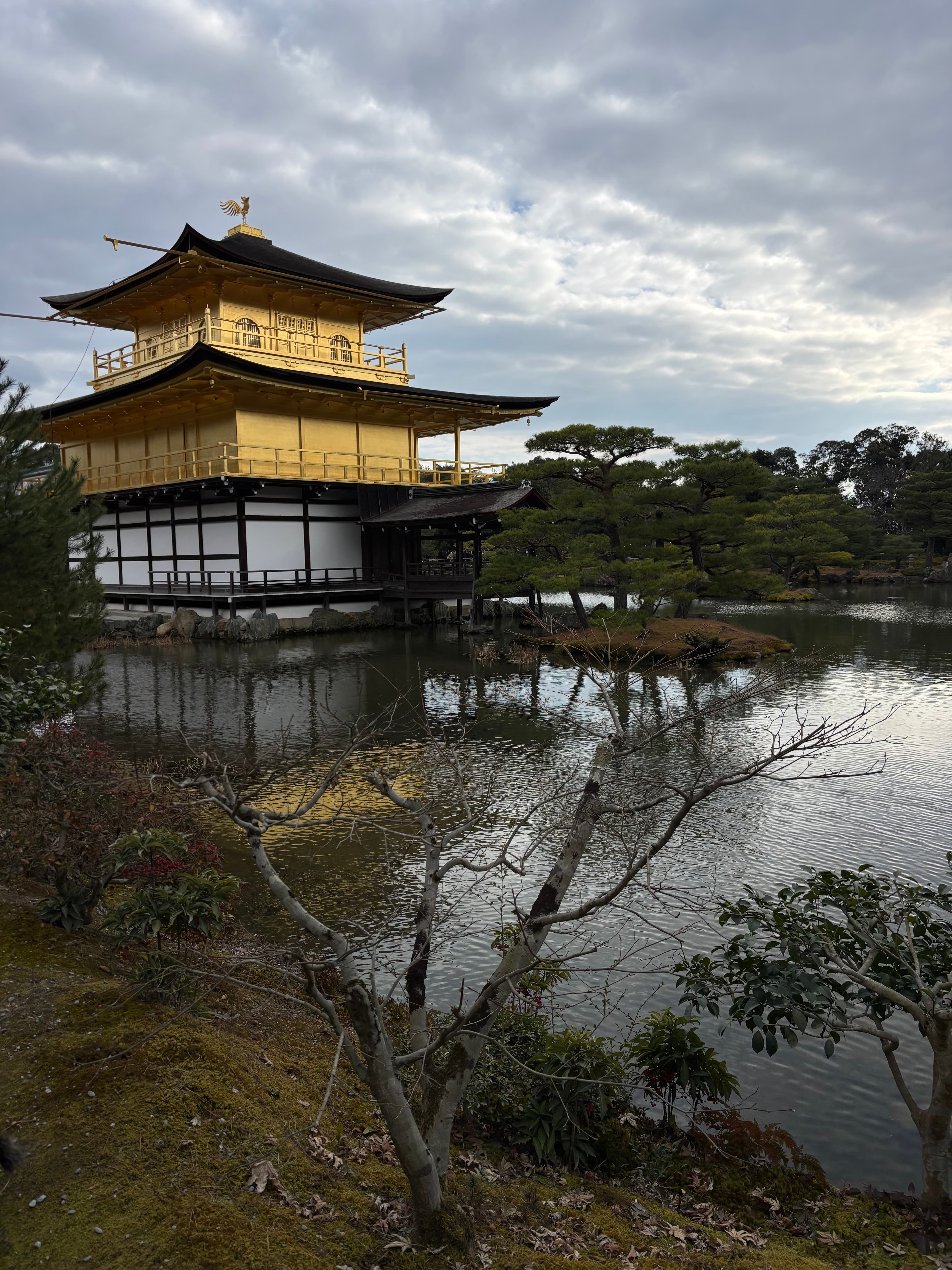 Japan for Families curated by Maria Winters