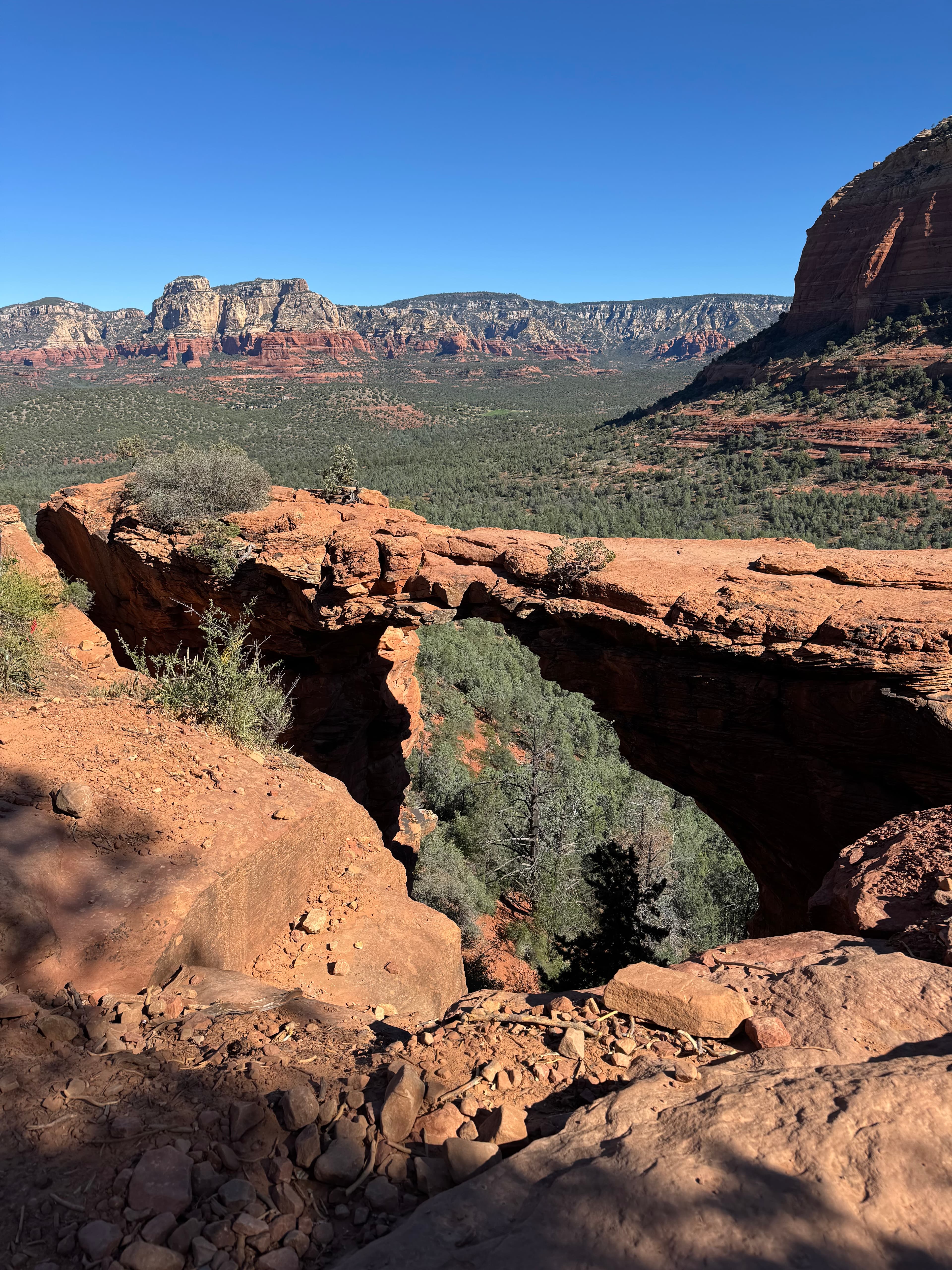 Chasing Views in Sedona curated by Jessica Lyon