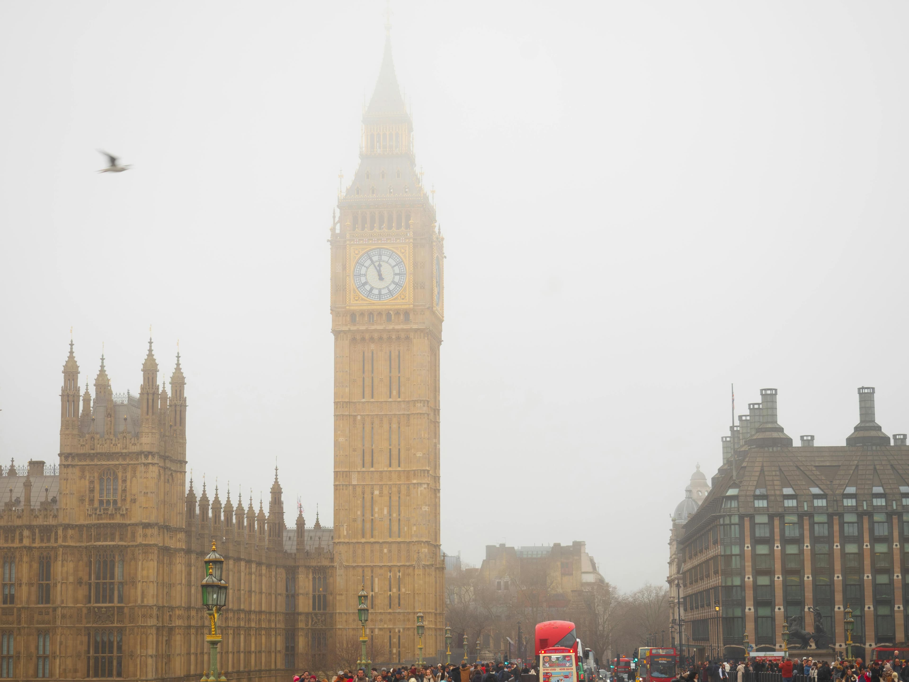 A Beginner's Guide to London curated by Alexis Welch