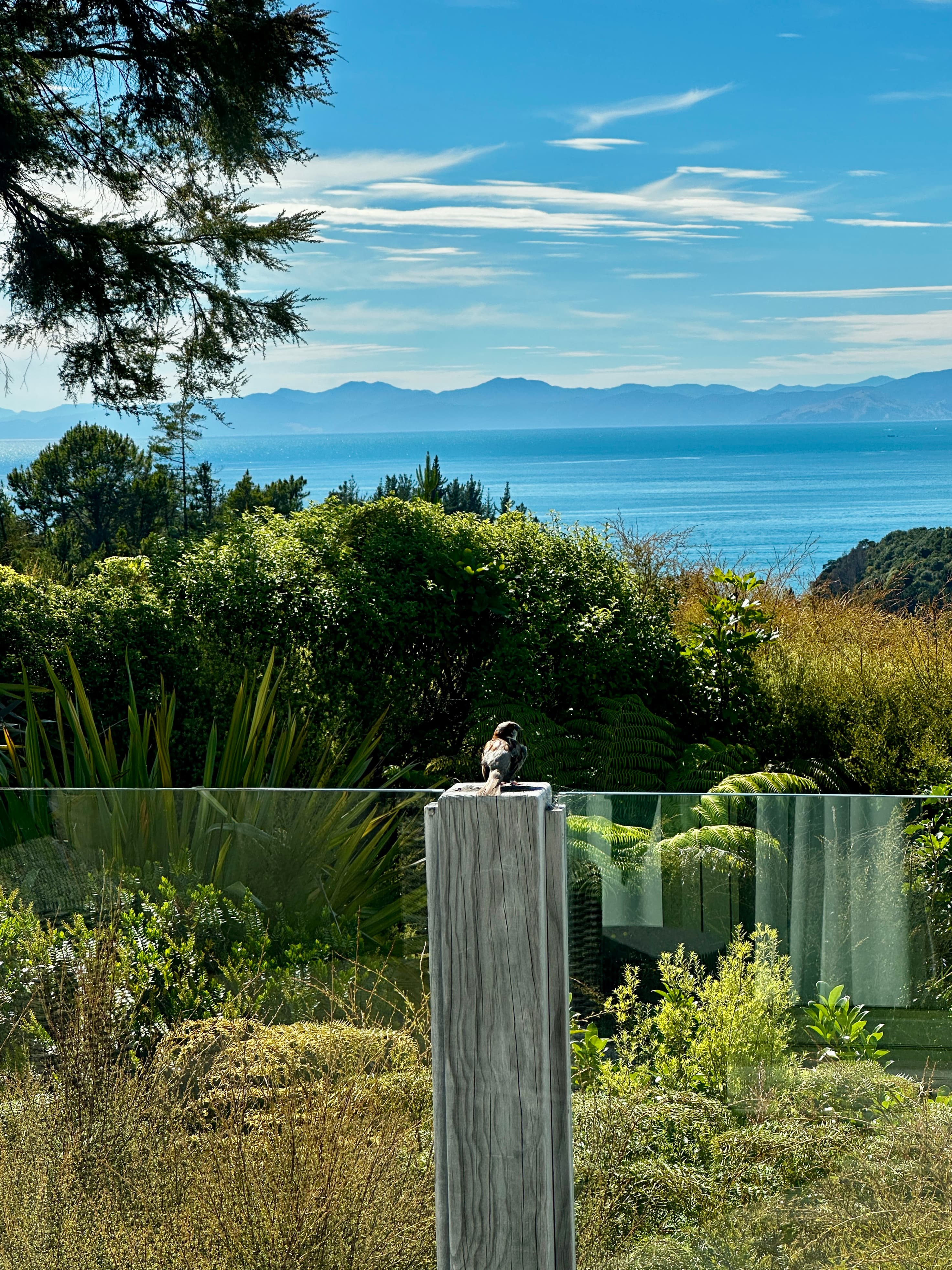Domu Retreat: A Slower, More Meaningful Luxury Stay in Abel Tasman curated by Hannah Corderman