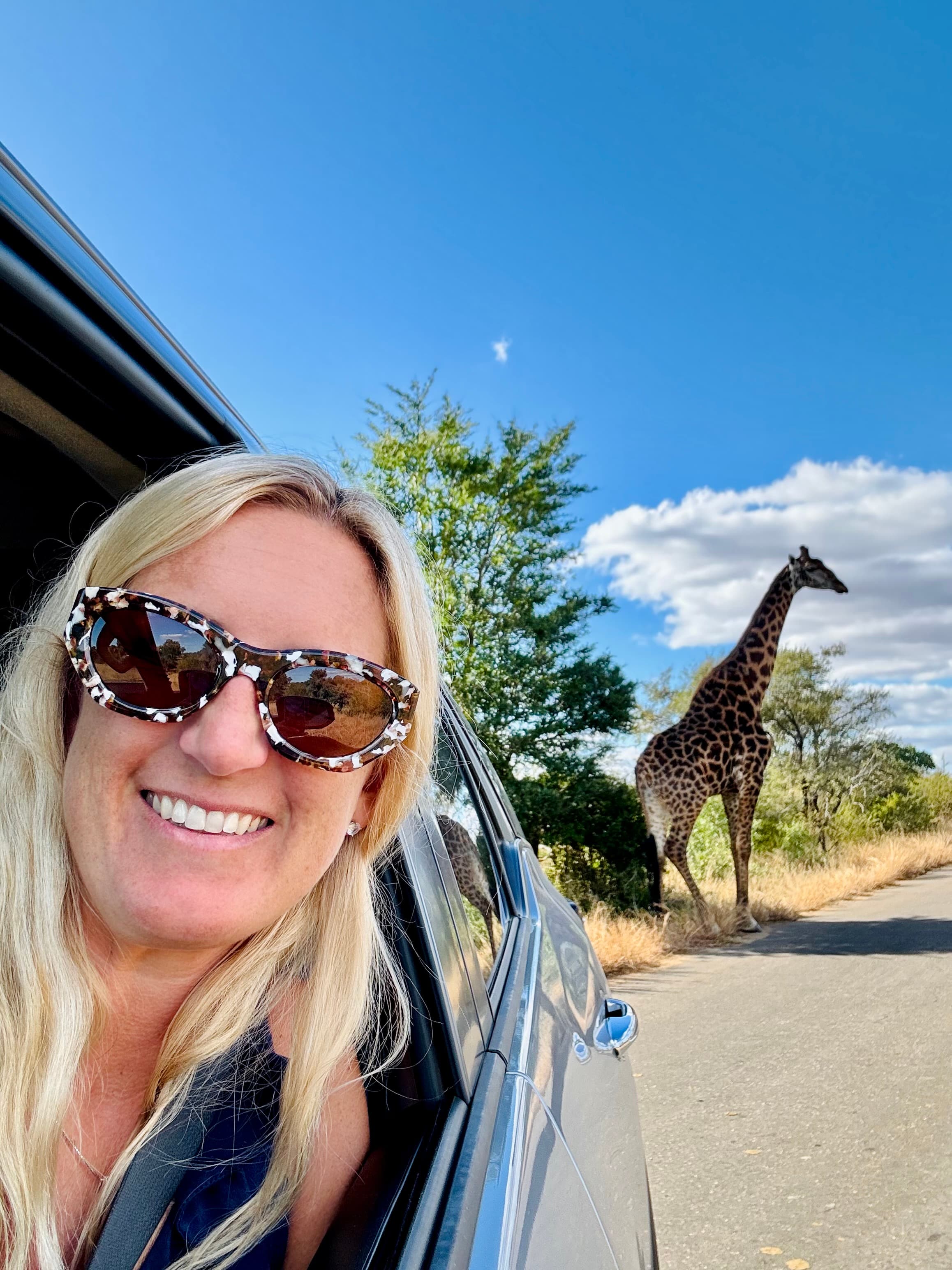 Kruger National Park: Lions, Sunsets, and Safari Magic curated by Jennifer Singleton