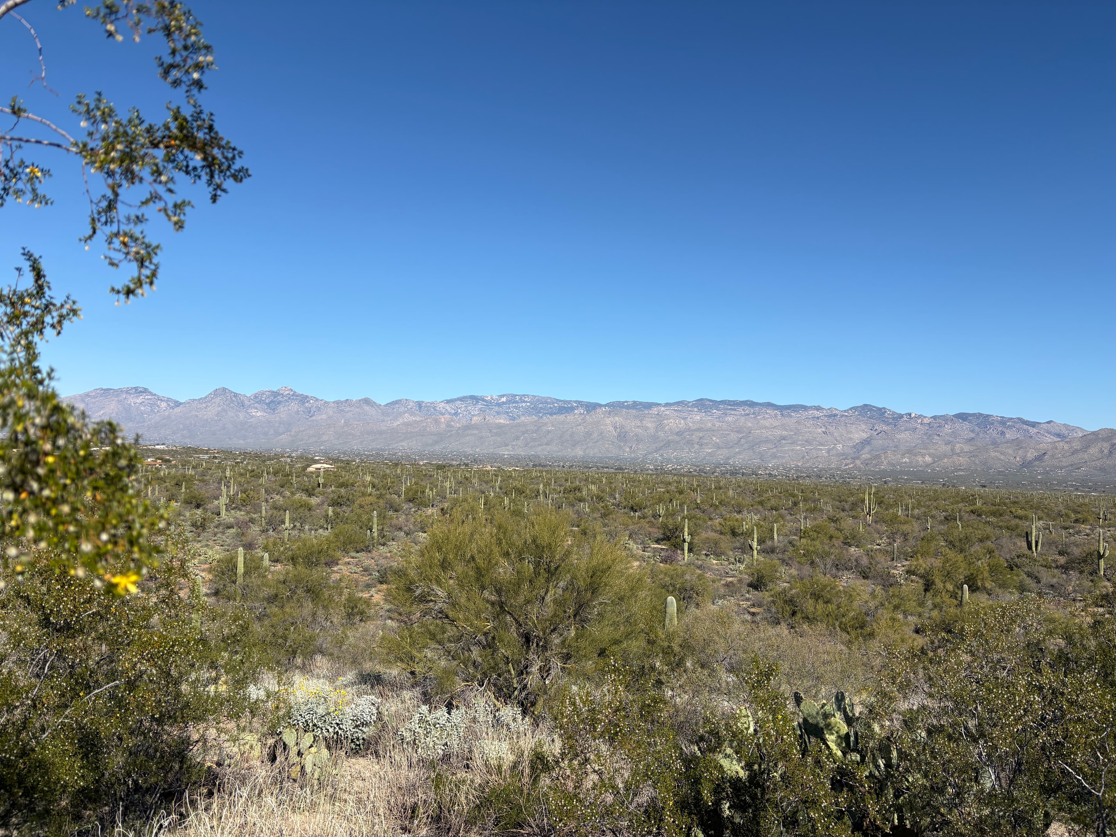 Travel photo 6