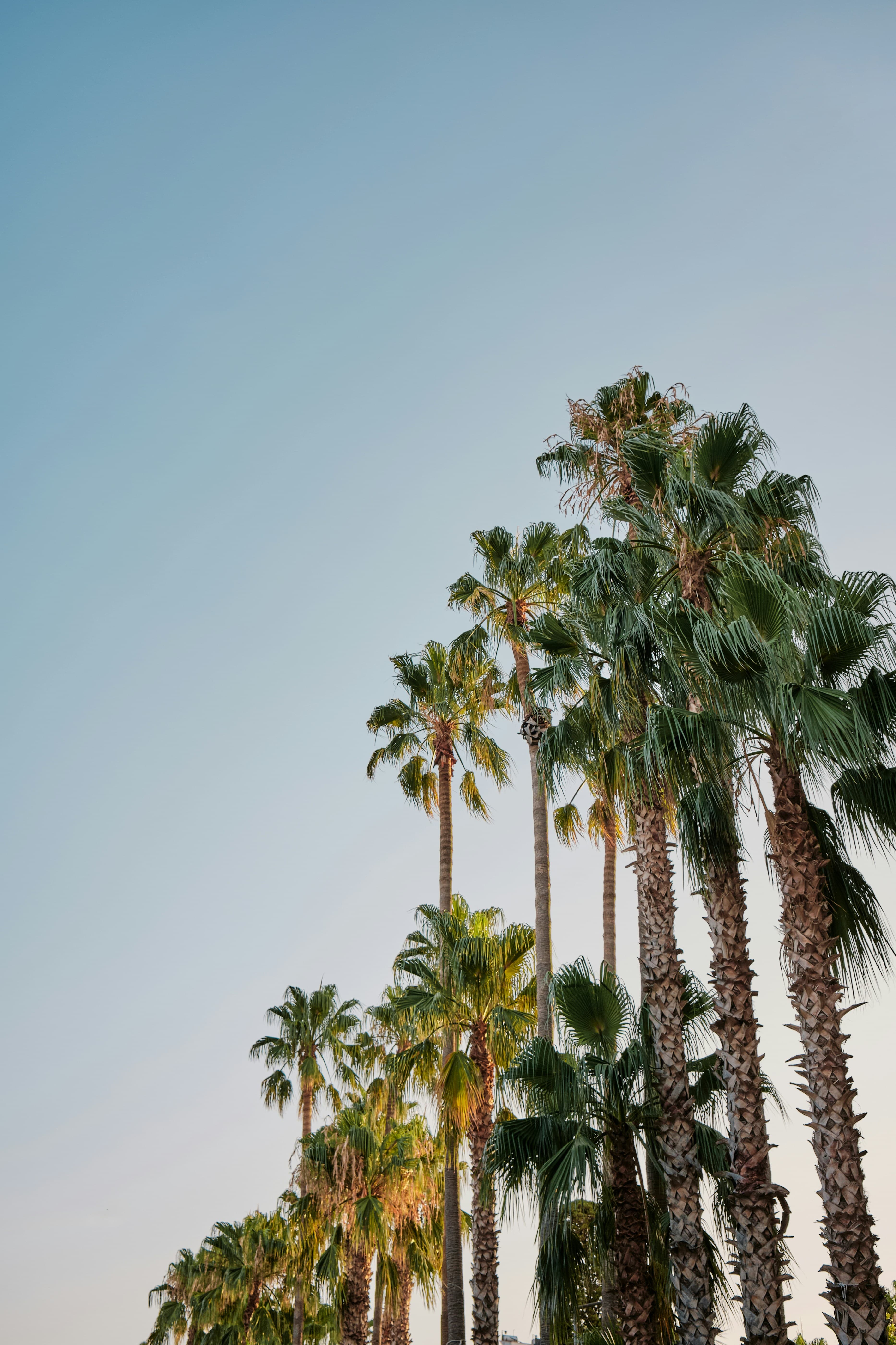 3 Days in Beverly Hills: A Chic Itinerary curated by Anna Dobrenski