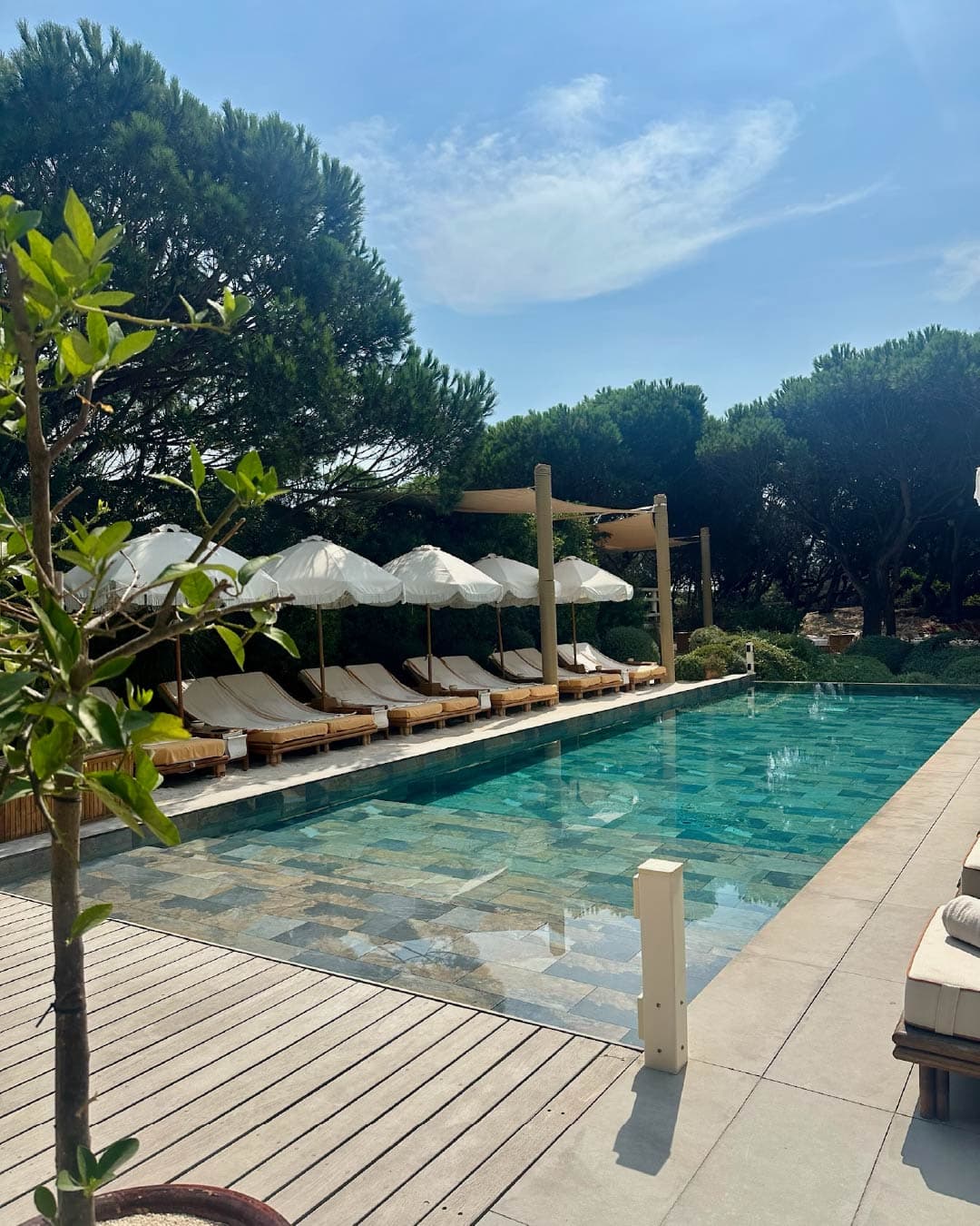 Rosé & Reservations: The Ultimate Guide to St. Tropez curated by Kelley Franklin
