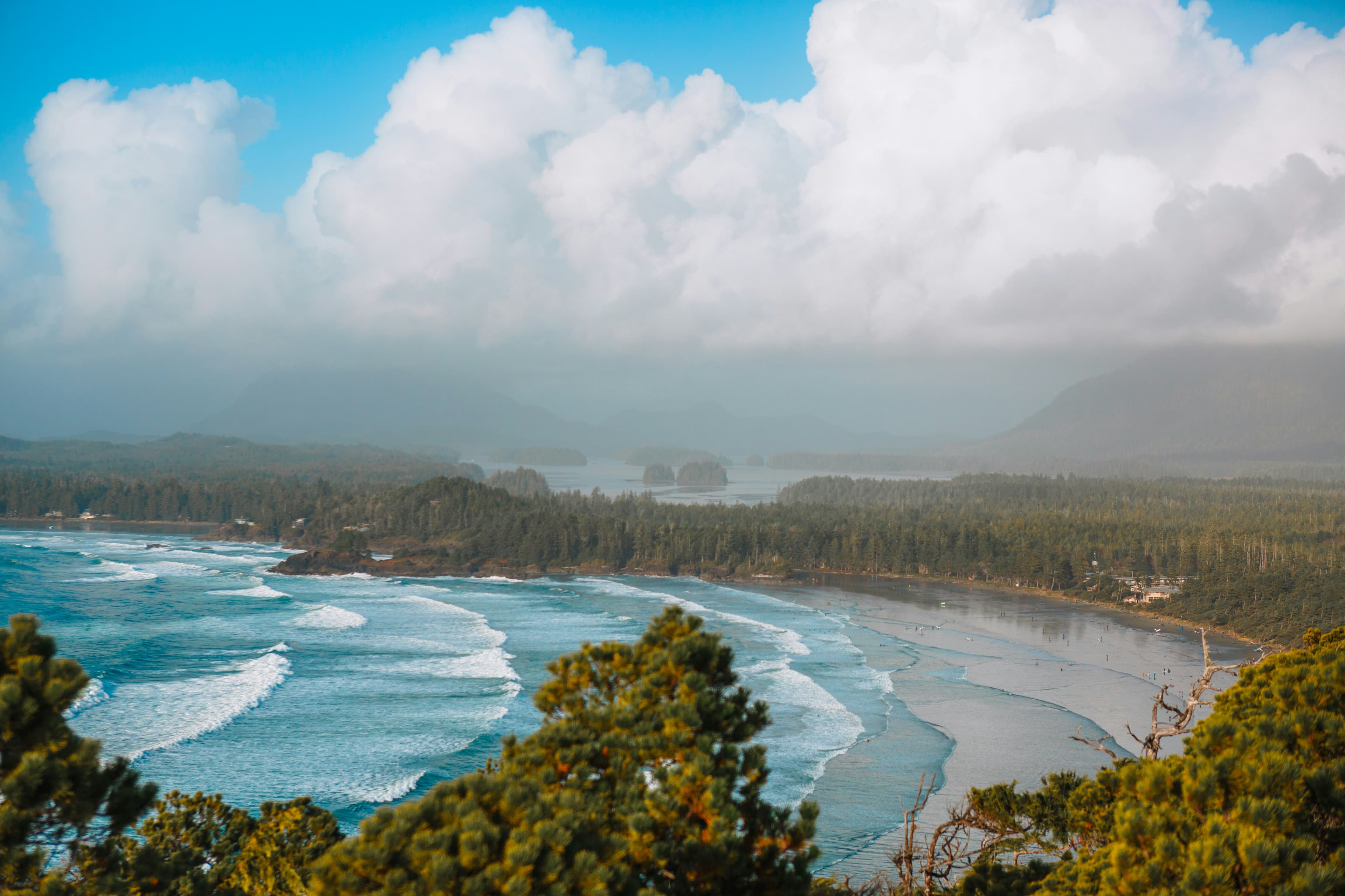 At the Edge of Everything: A Wildlife & Cultural Journey Through Tofino curated by Amanda Popp