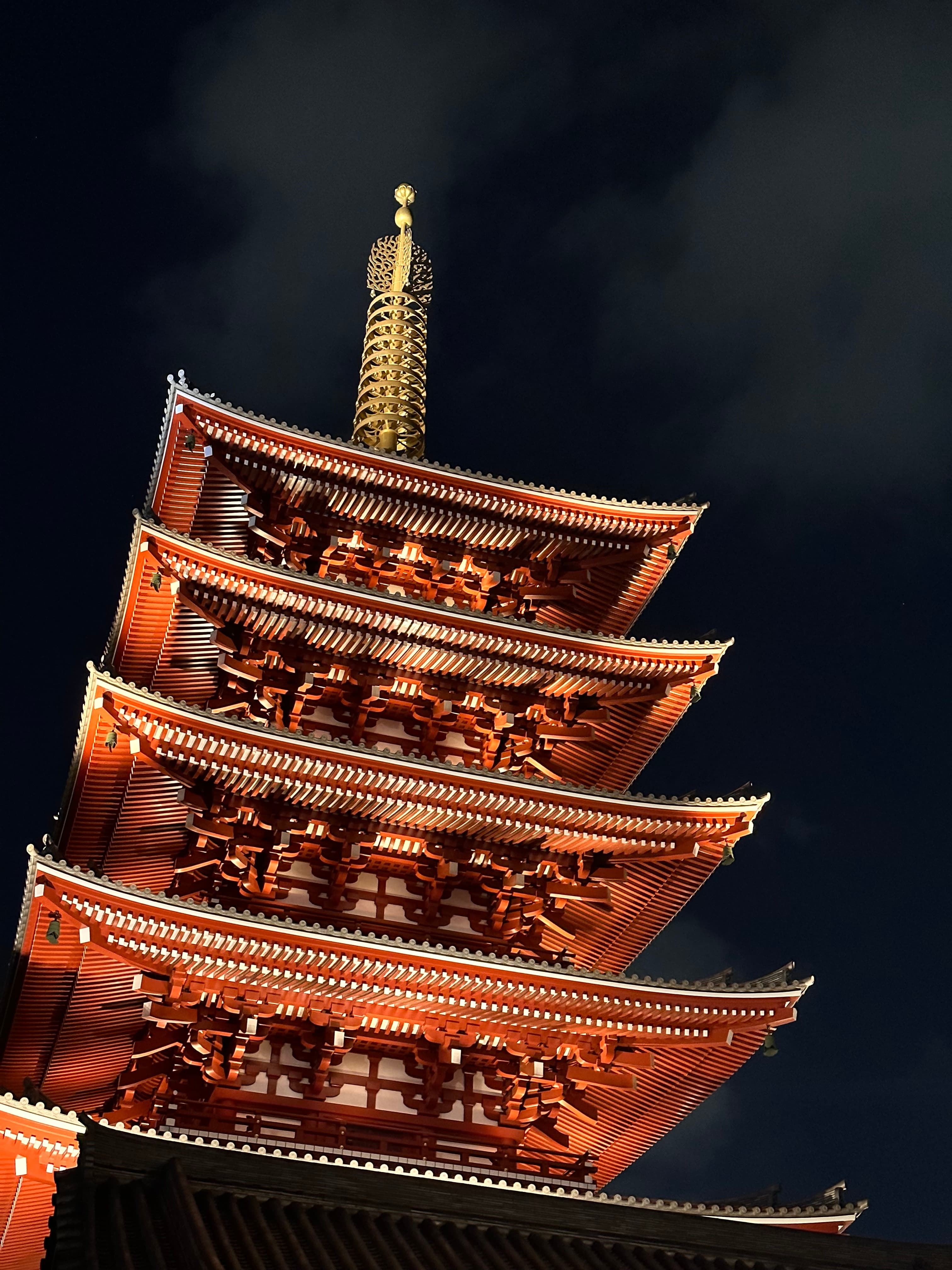 Five Days in Tokyo curated by Saul Katz