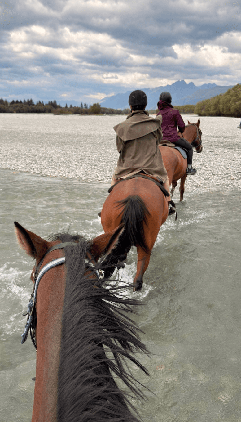 Unlock the Extraordinary: Your 14-Day Odyssey Through New Zealand curated by Anderson Orlandi