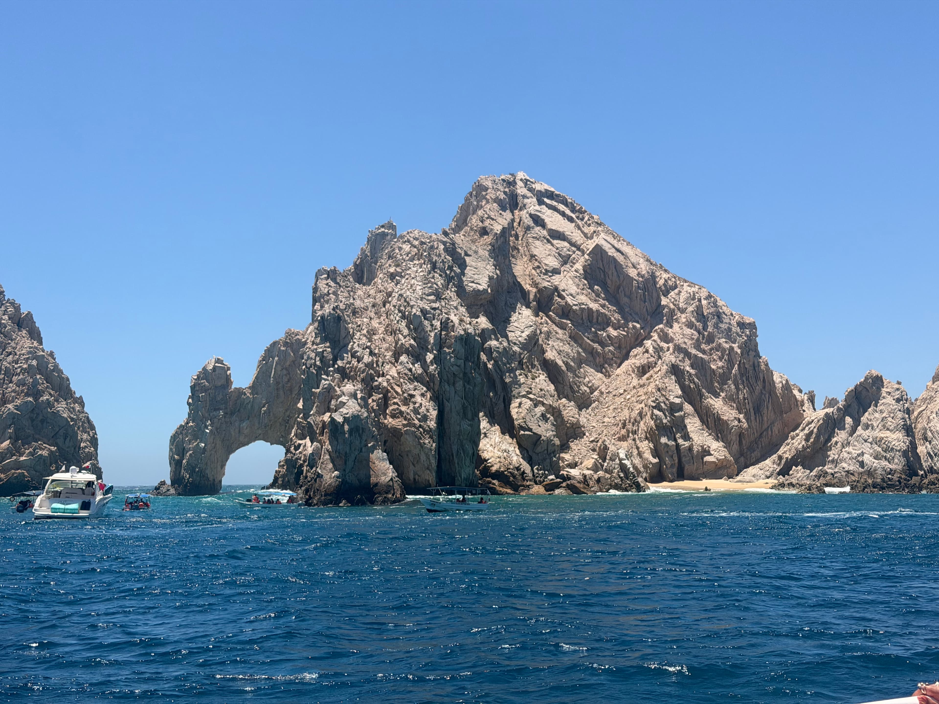 Viva Los Cabos curated by Erica Wilson