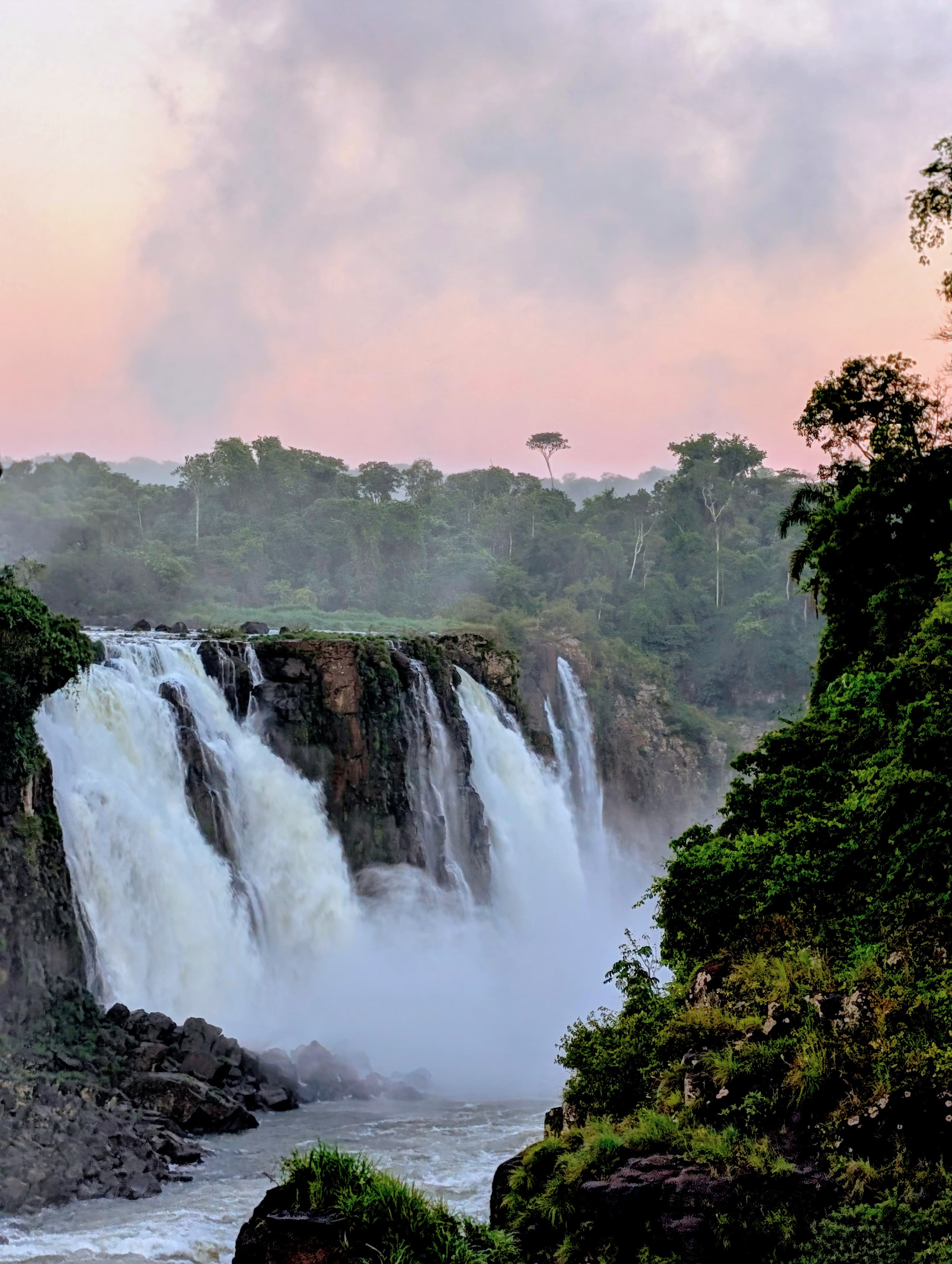 Iguazu Falls: A Sanctuary of Natural Beauty curated by Tess Smith
