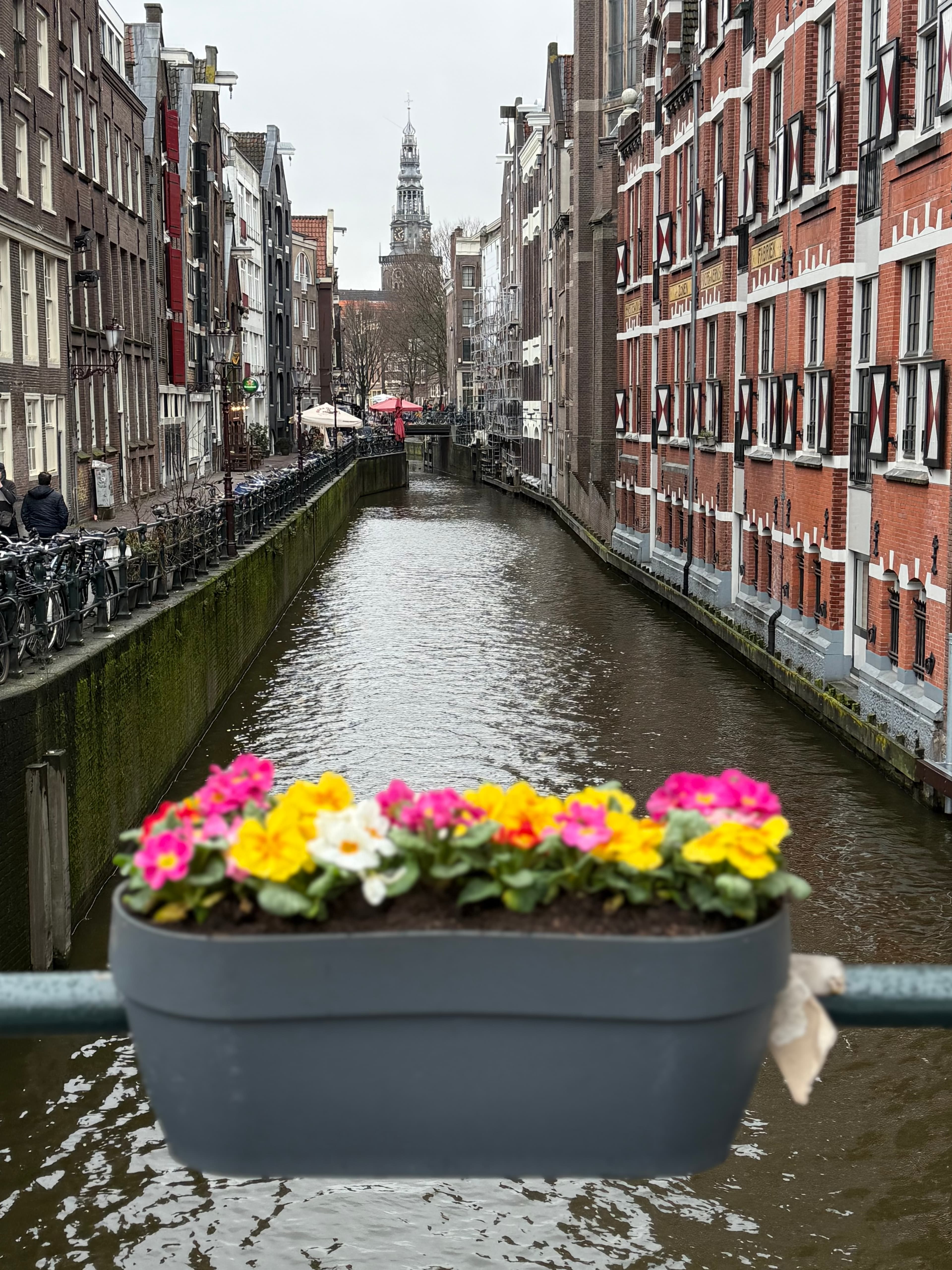 The Perfect Stopover: Amsterdam at Your Leisure curated by Jenn King
