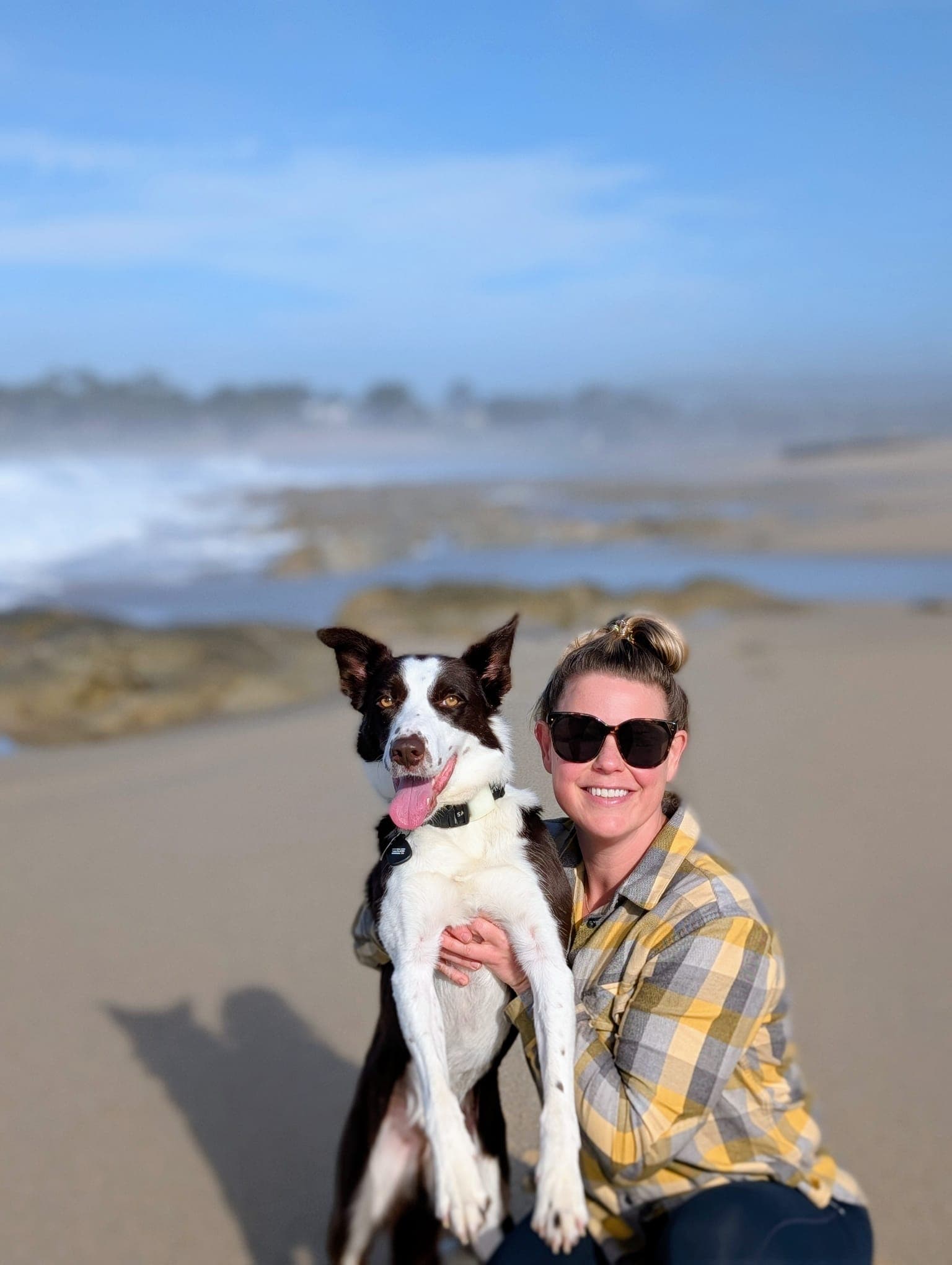 Carmel-by-the-Sea with Your Dog: Where to Stay, Eat & Explore curated by Candice Wilmuth