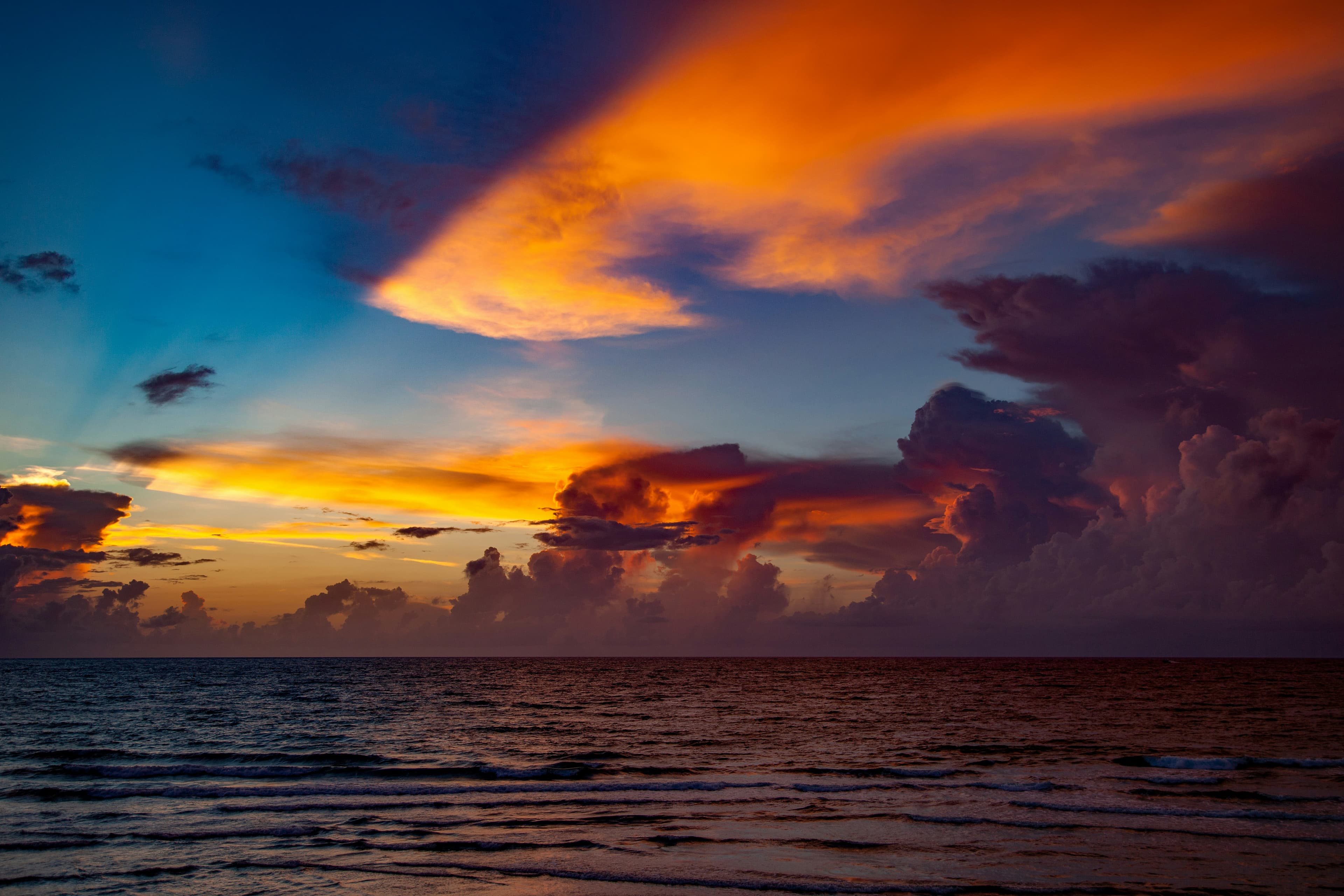 7-Day Wild Florida Ultimate Adventure Trek curated by Brittany Robbins
