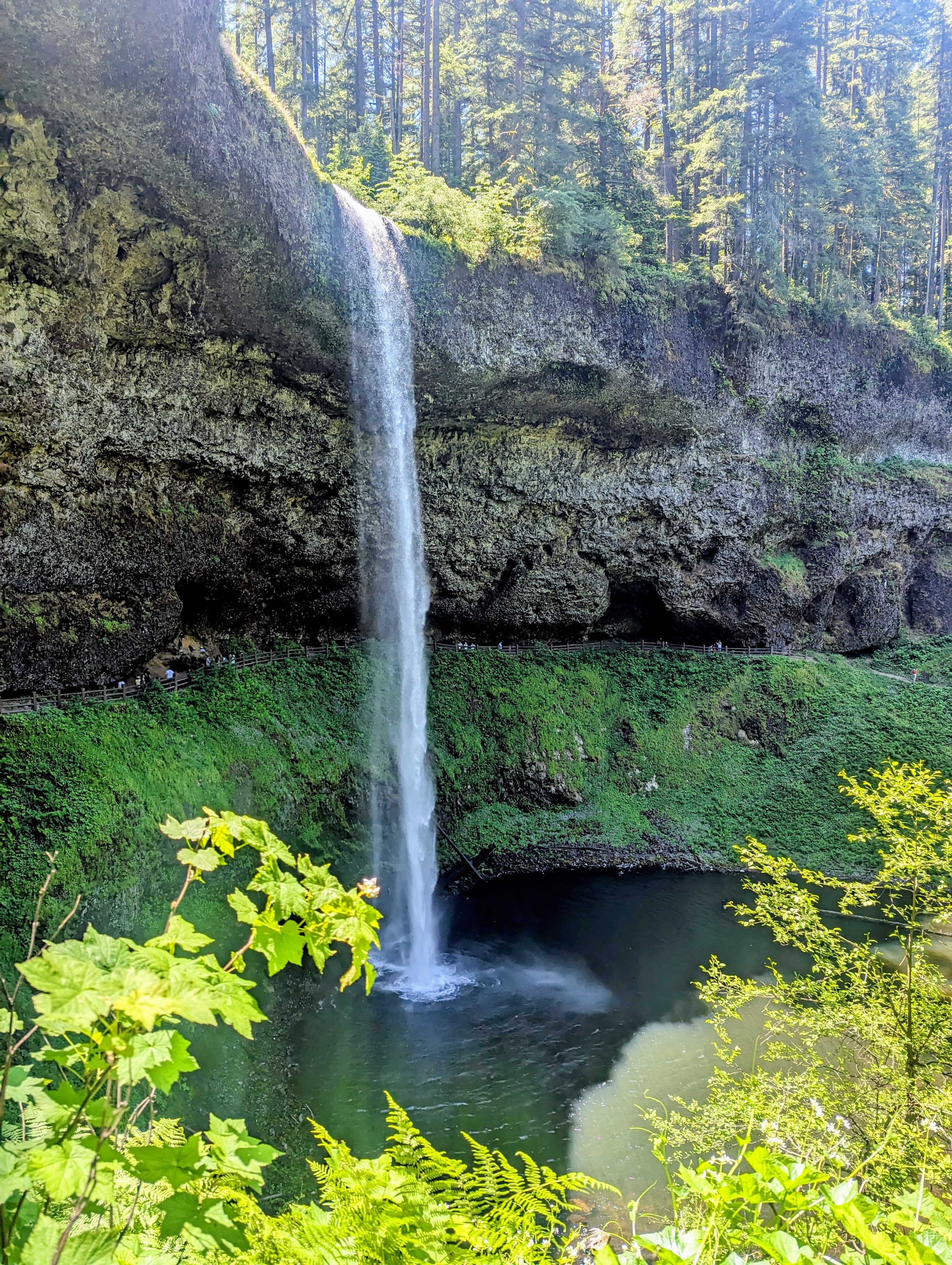 Family Fun in Oregon curated by Tesha Cox