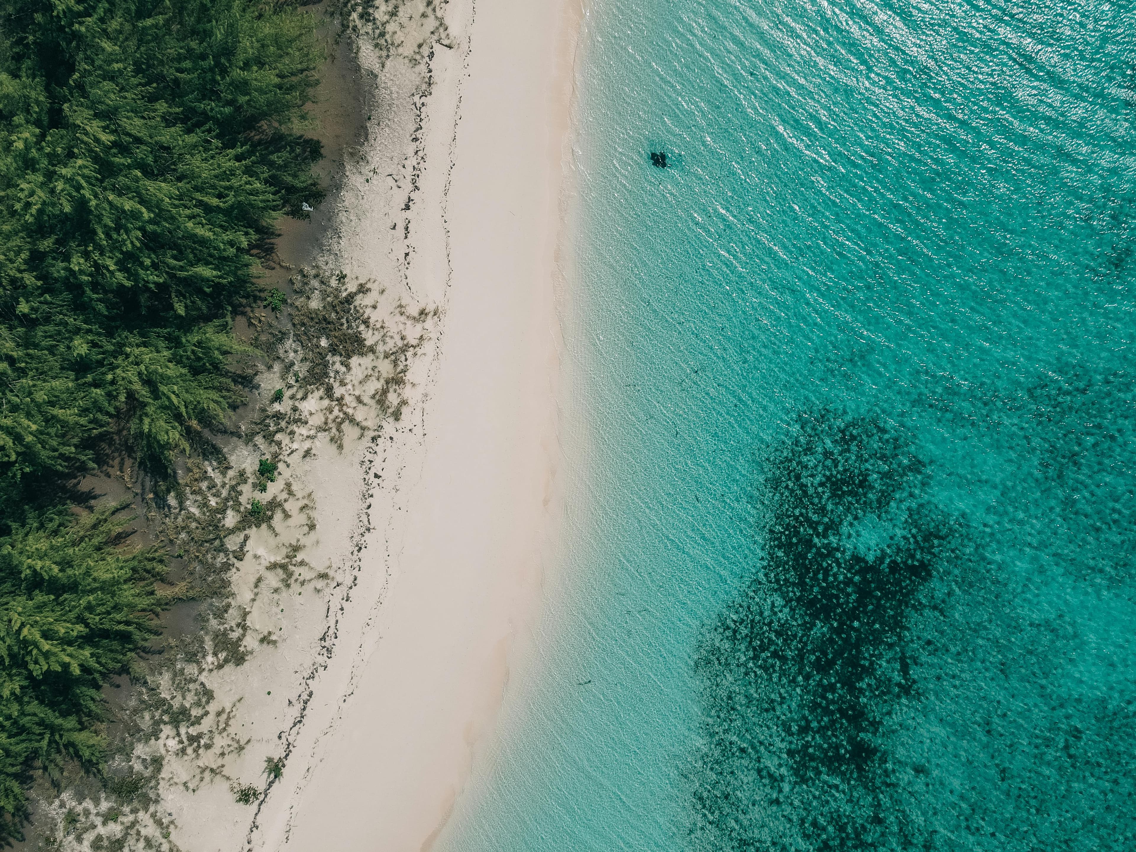 A Luxe Guide to Harbour Island, Bahamas curated by Alexis Welch