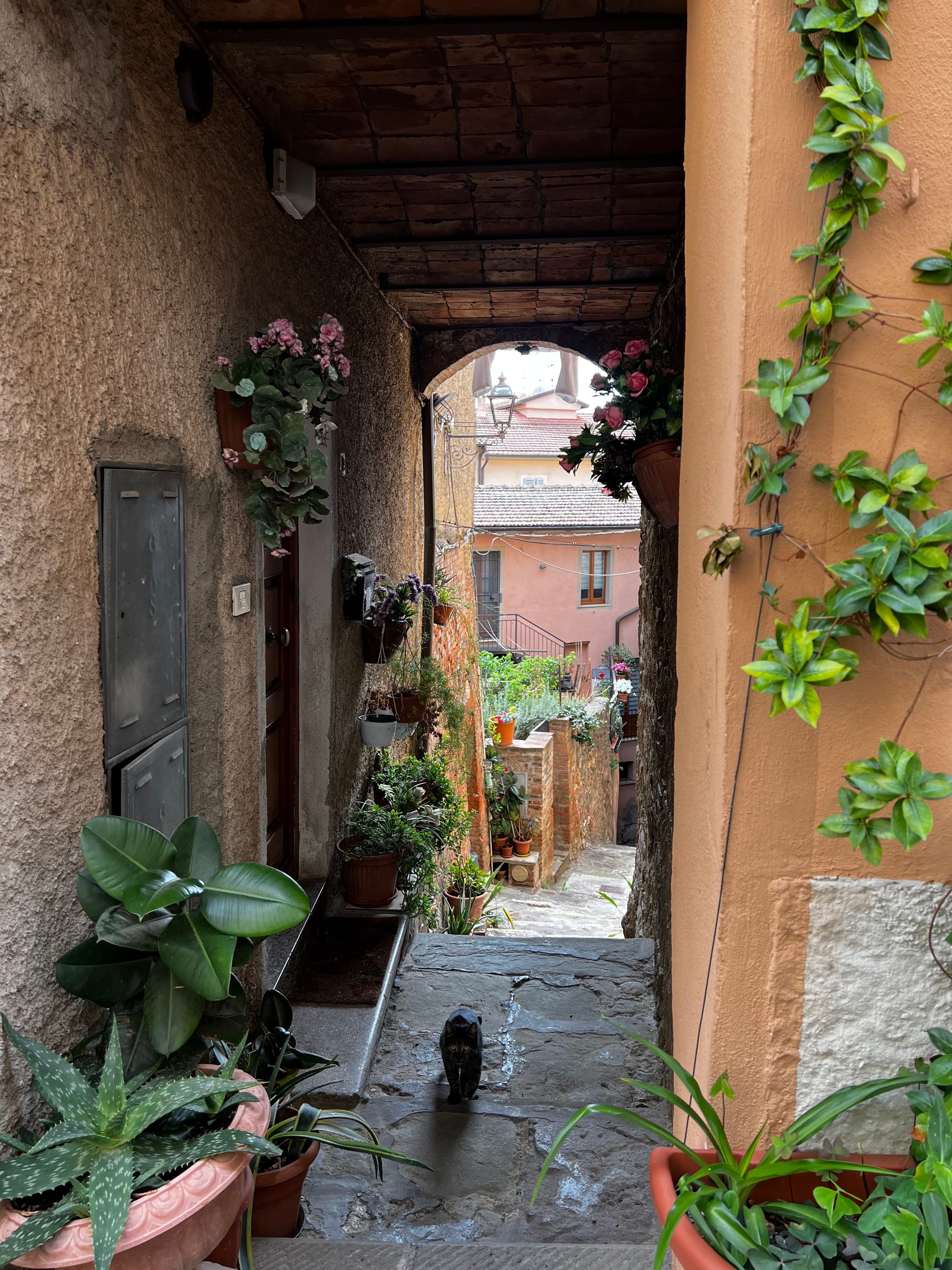 Travel photo 4