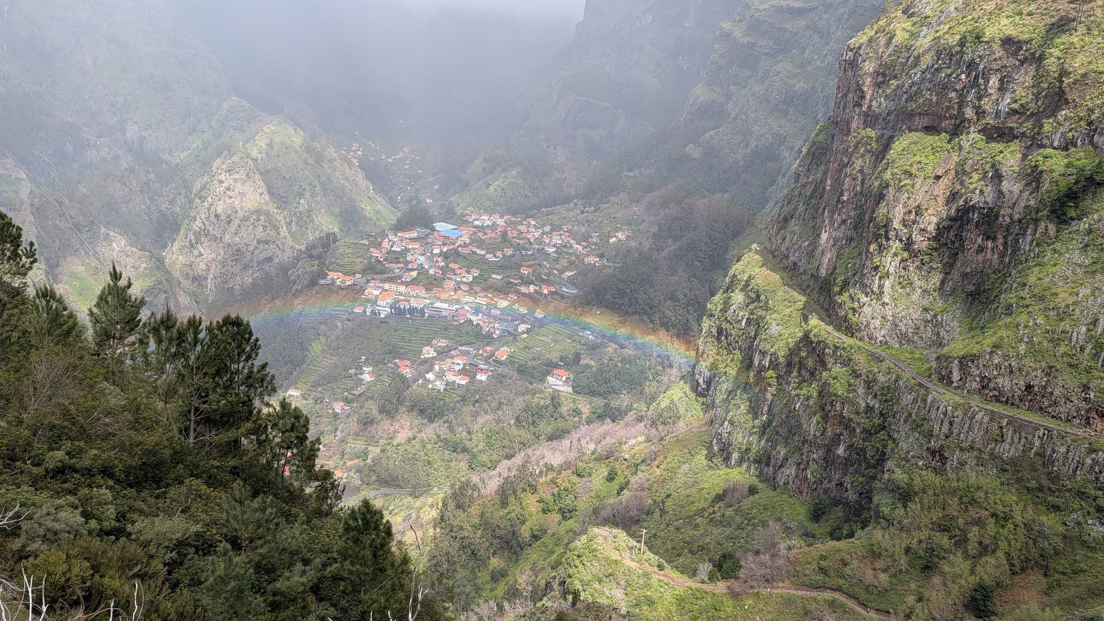 The Hawai'i of Europe: Explore Madeira curated by Susan Hennessey