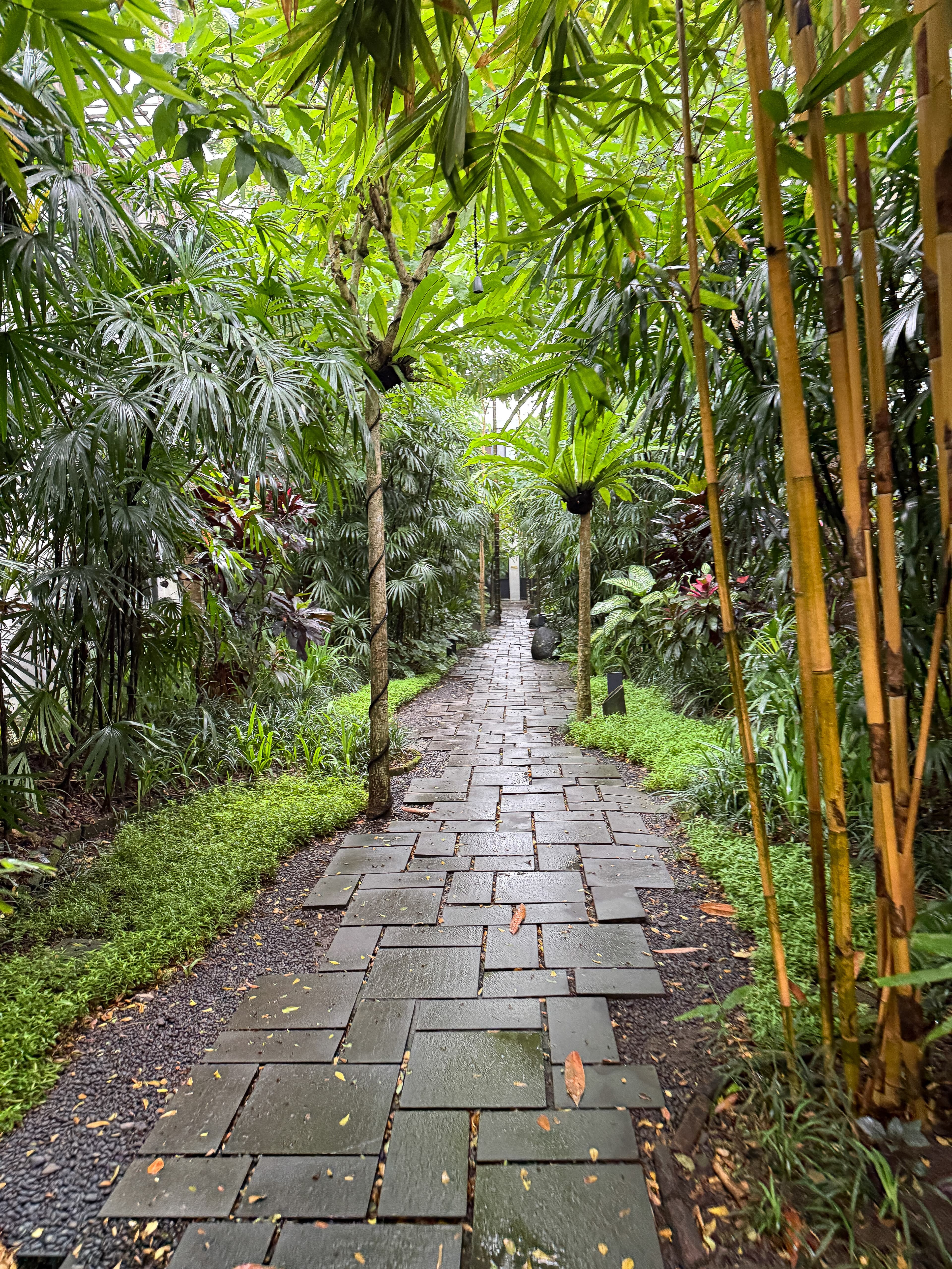 Bisma Eight, Ubud: A Modern Sanctuary curated by Trina Henry