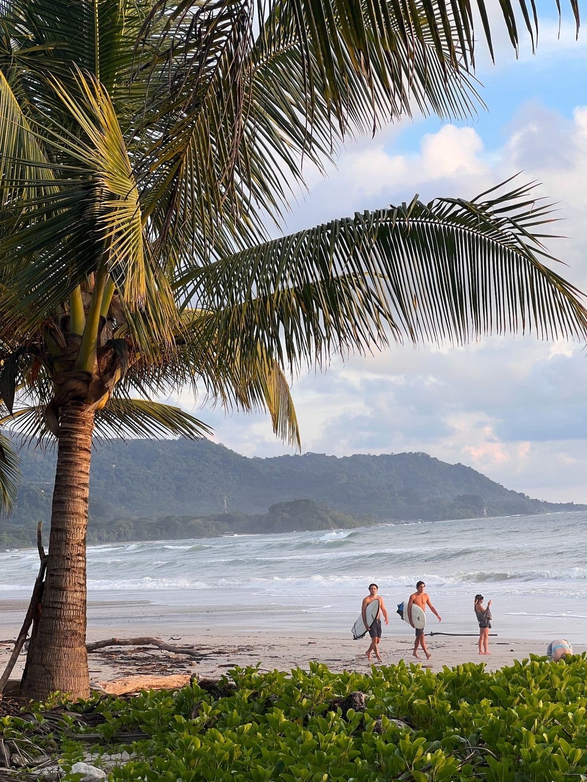 Sun, Surf & Sunsets: The Best of Guanacaste curated by Amanda Dante