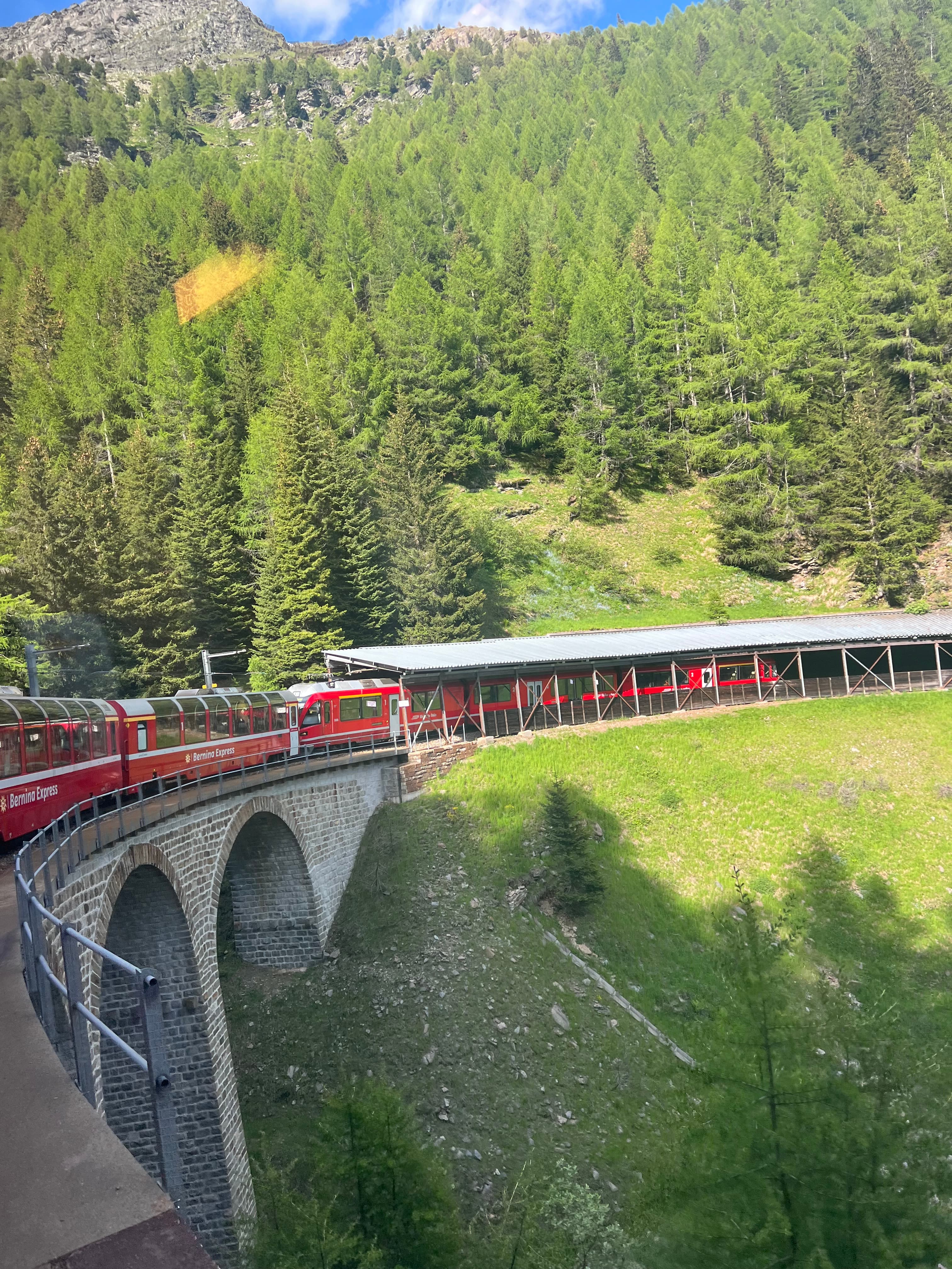 From Vineyards to Glaciers: The Bernina Express Journey Through the Alps curated by Lynn Staude