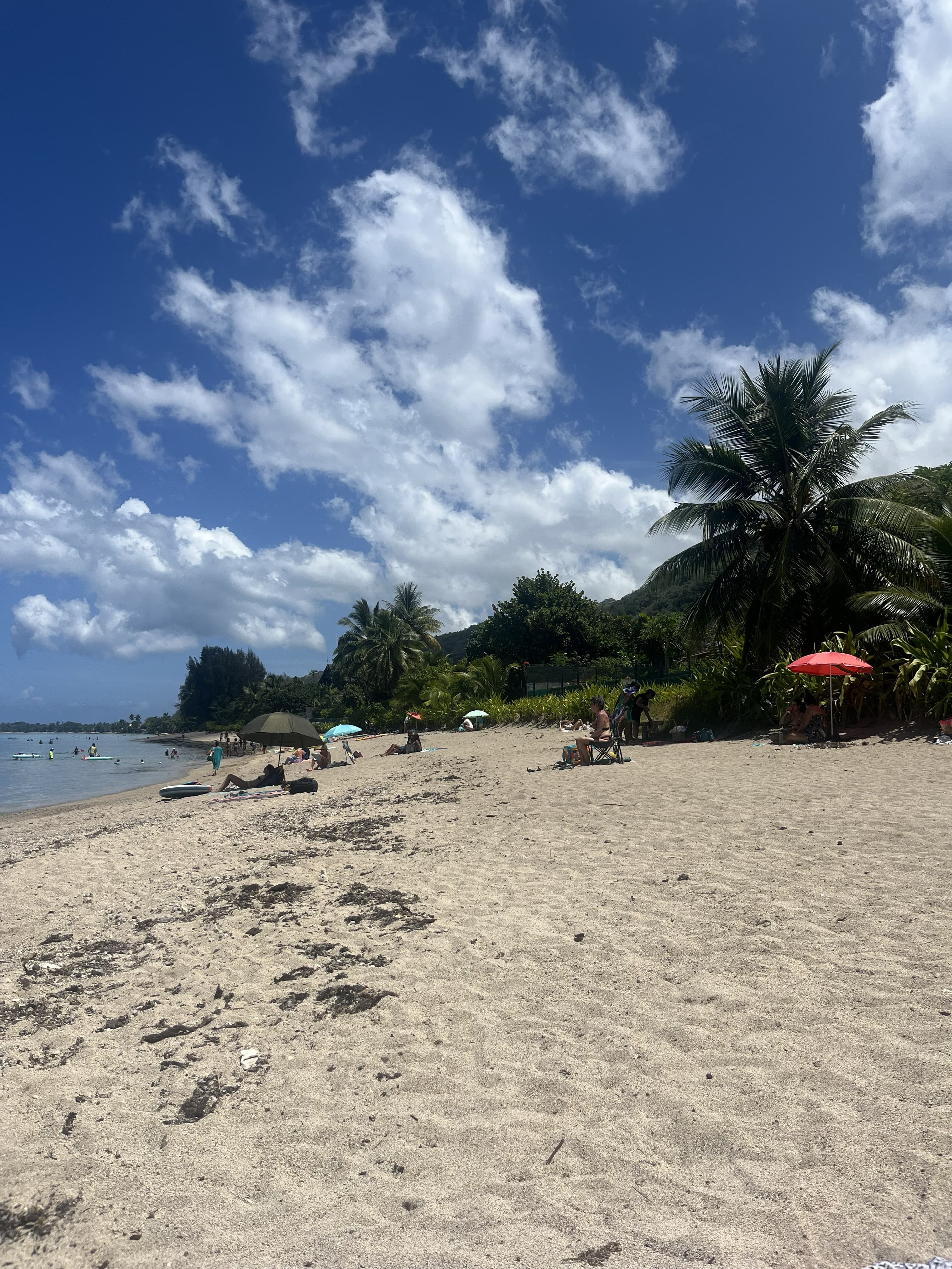 Papeete, Perfected: A Gateway to Tahitian Luxury curated by Christie Vines