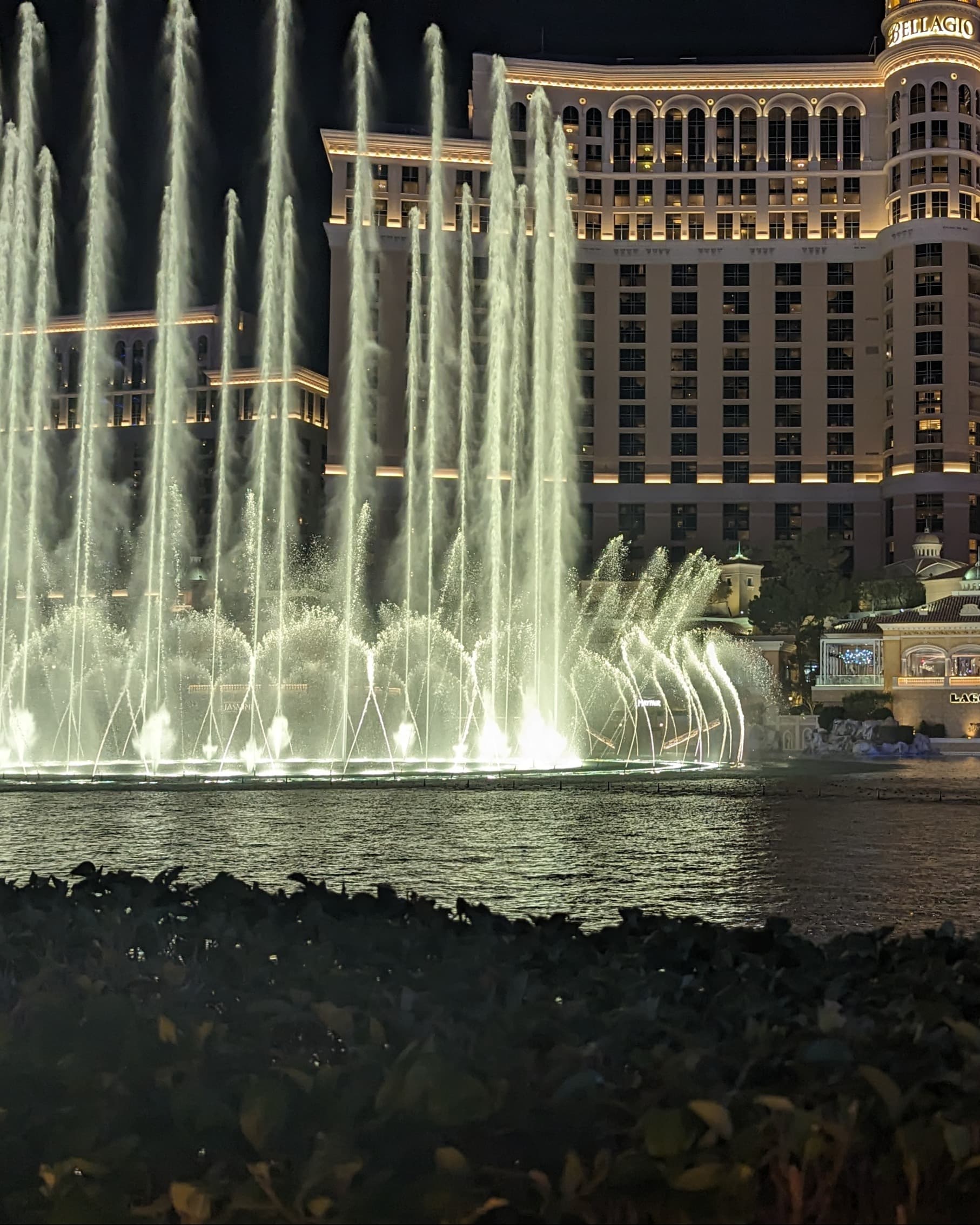 Vegas Decoded: An Insider’s Guide to Las Vegas with Teens curated by Elizabeth Gormley