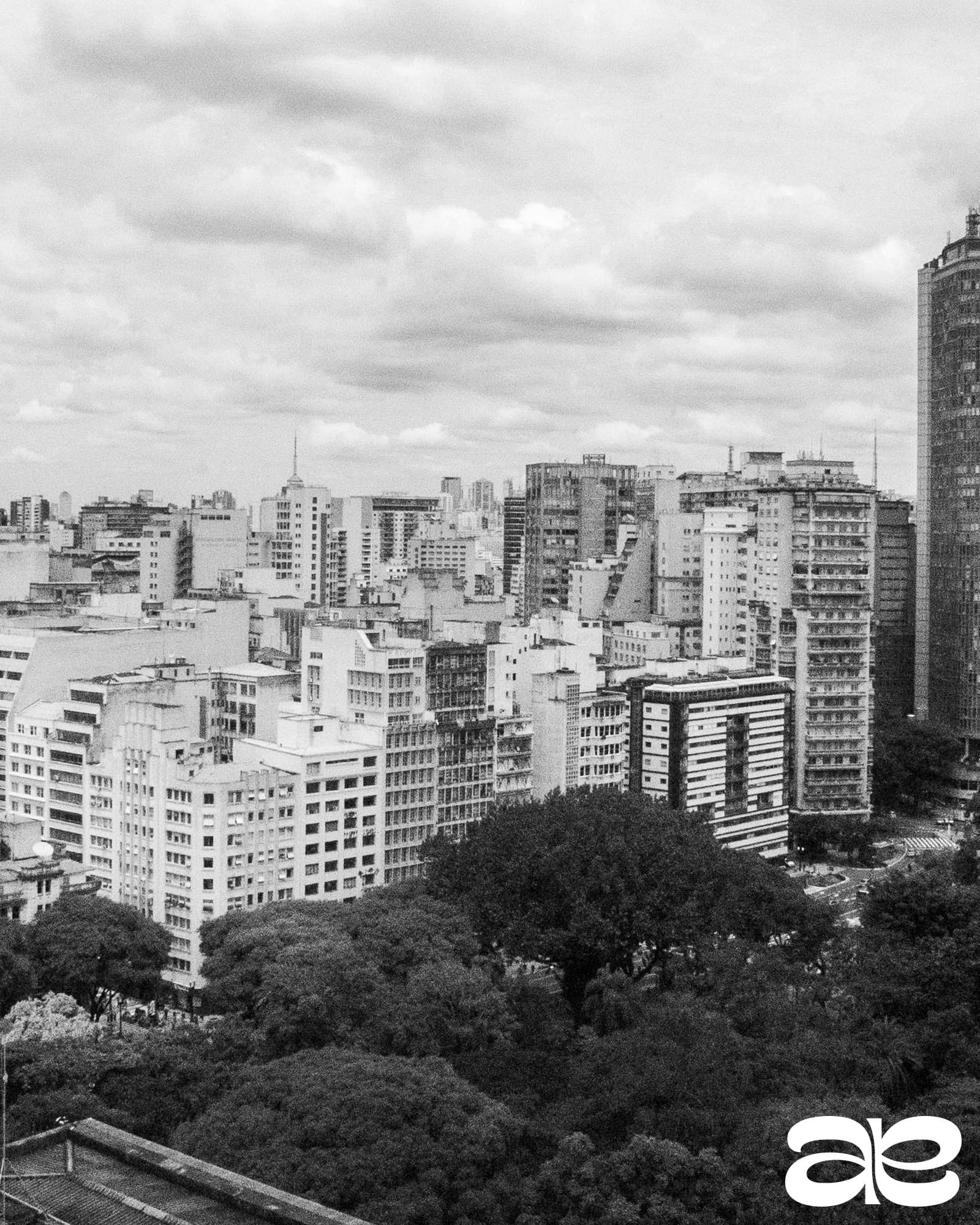 São Paulo Beyond the Concrete Surface: Where To Eat, Drink & Move Like a Local curated by Leticia Viotti