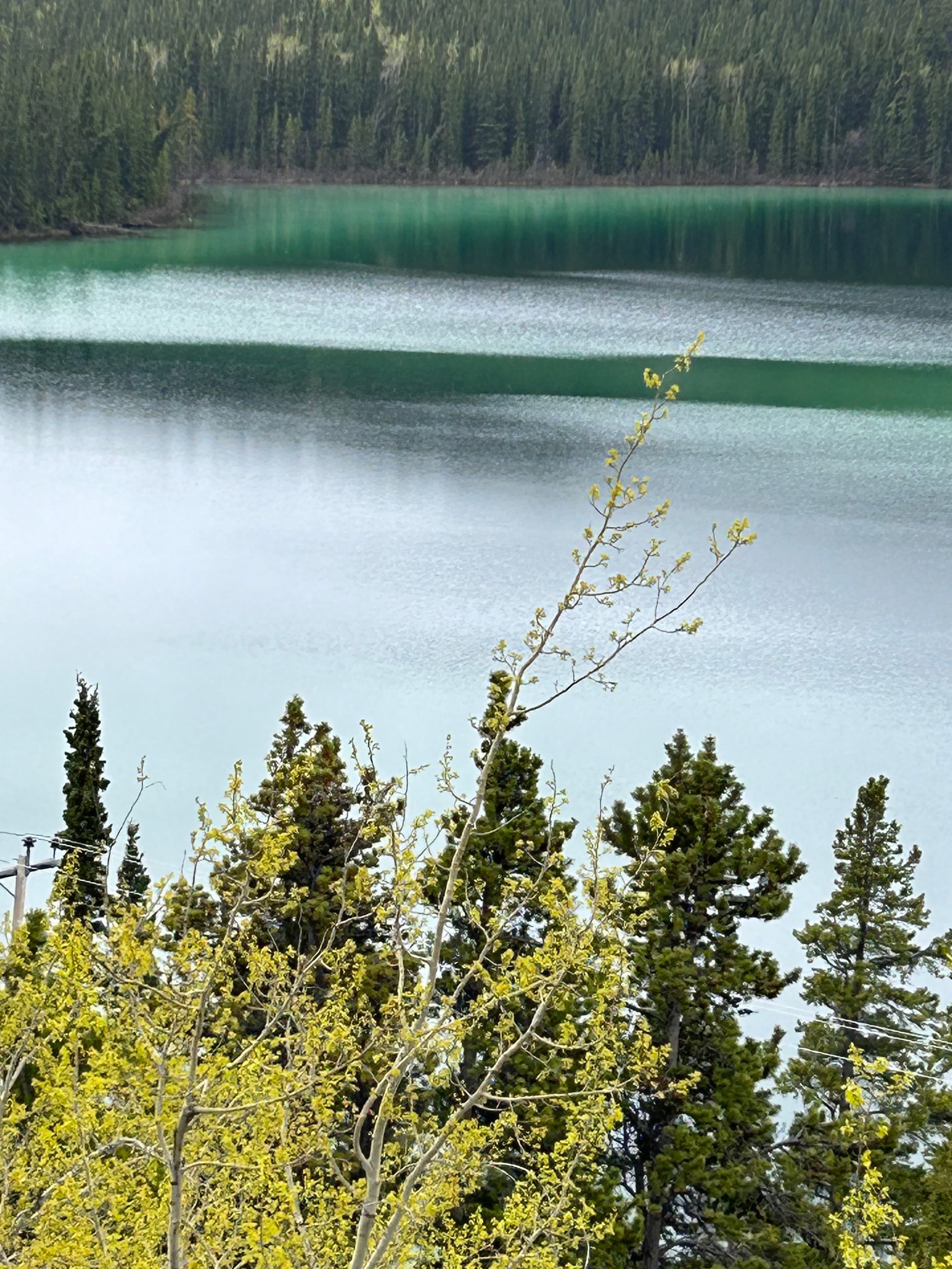 Travel photo 4