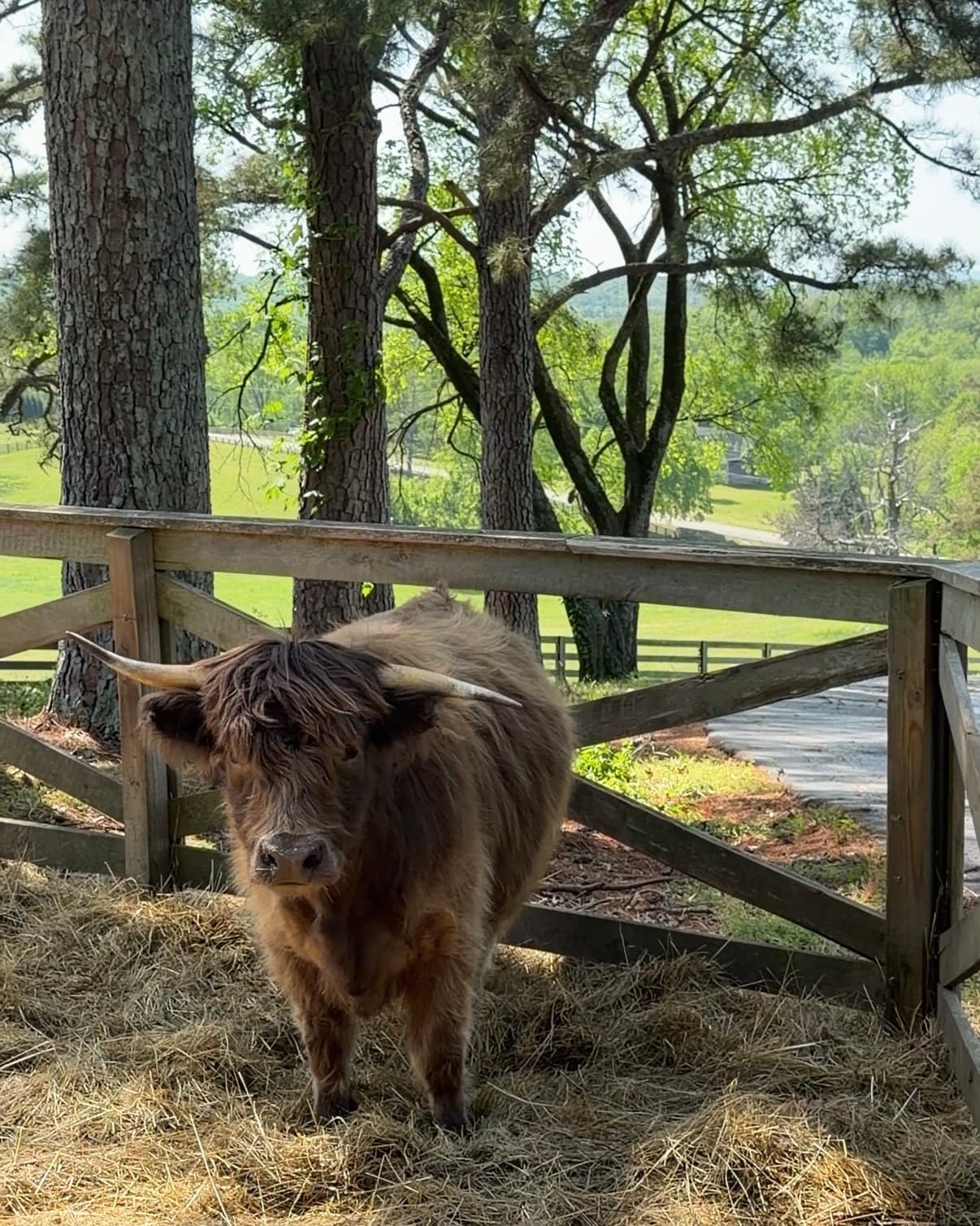 Countryside: Franklin, Tennessee curated by Lexi Mueller