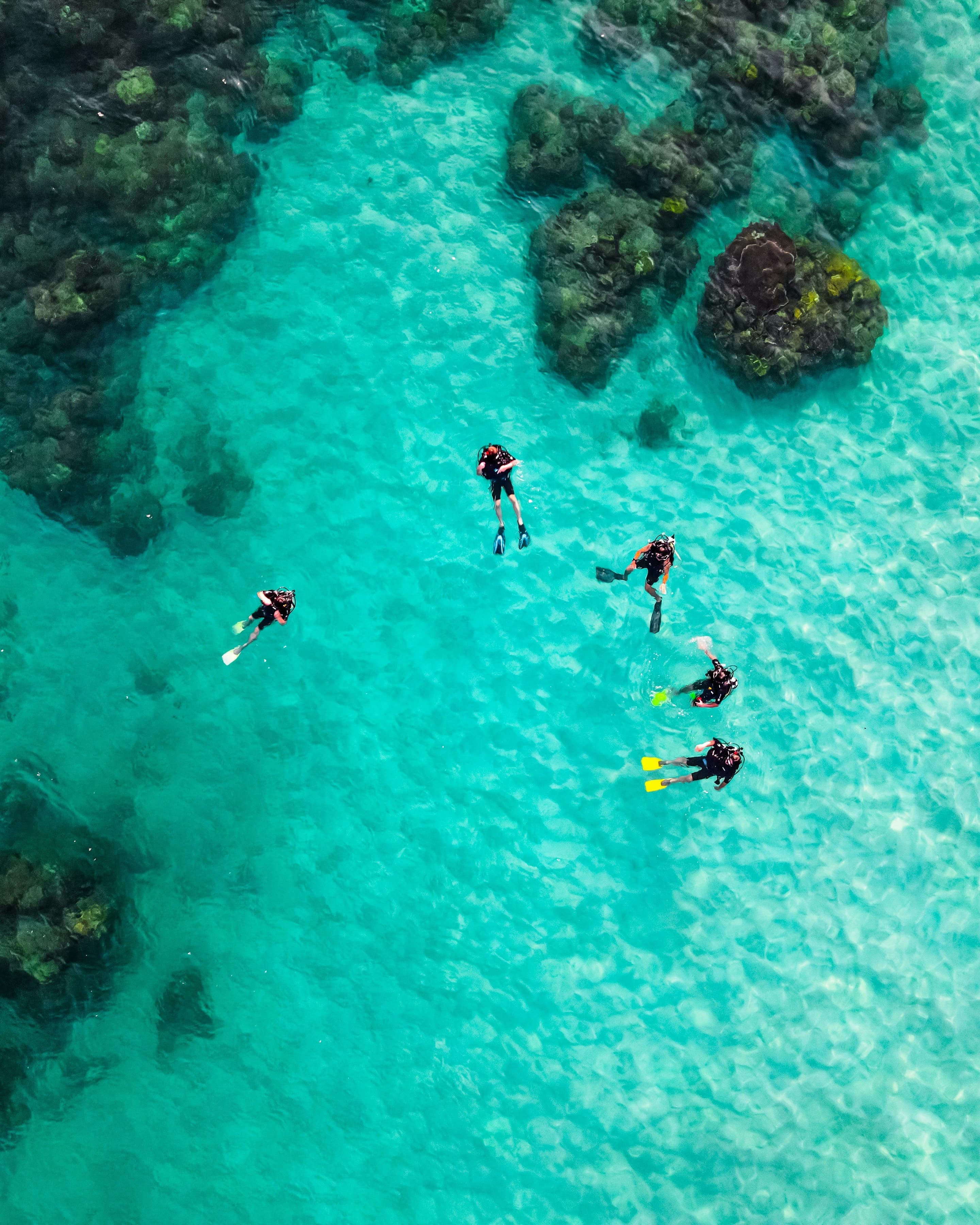 Belize Uncovered: Finding Your Perfect Dive, From Reef to Atoll curated by Grayson Briggs