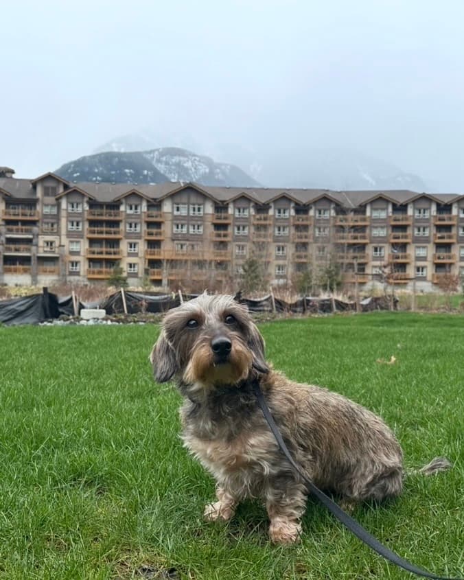 Executive Suites Hotel & Resort Squamish: Your Ideal Stay for Families & Pets curated by Aliza Bodzin