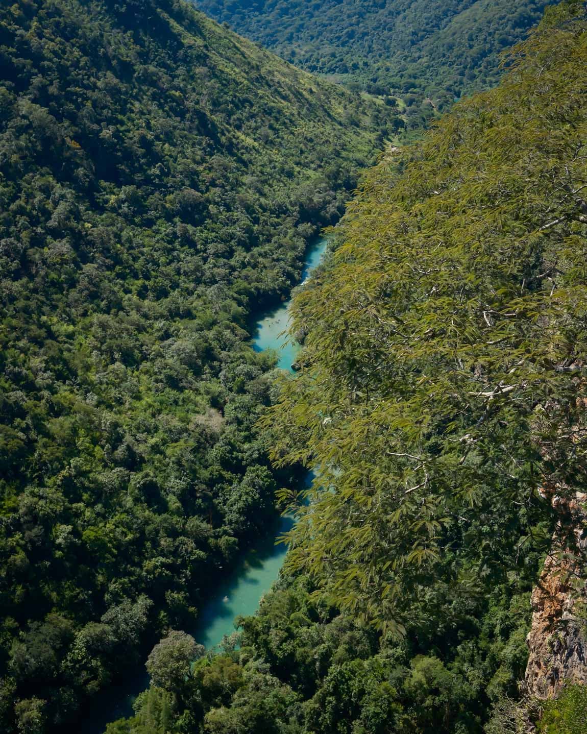 Beyond Brazil’s Beaches: Discovering Bonito curated by Kathleen Martel