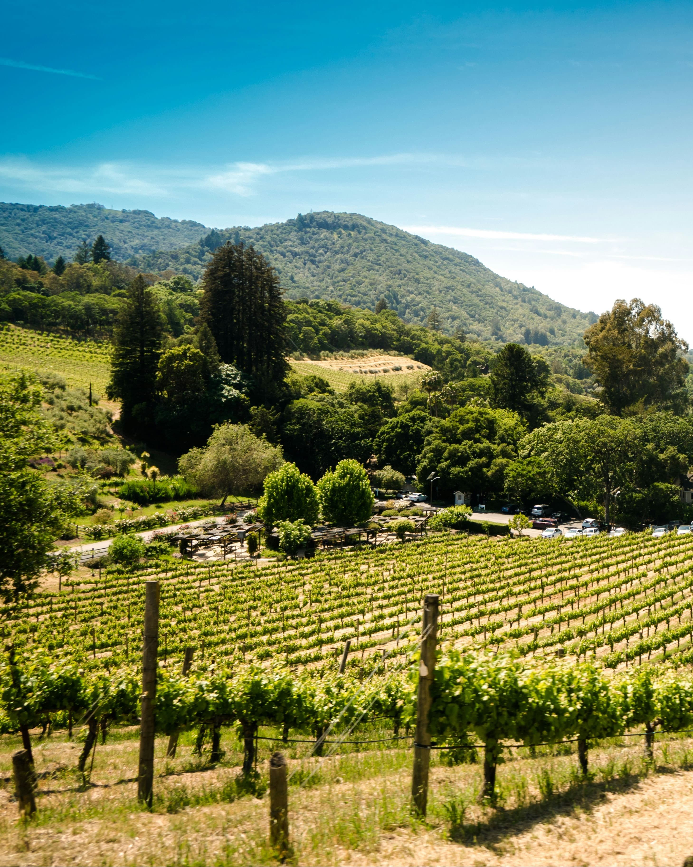 A Midweek Stay in Sonoma: Making the Most of Parental Leave curated by Stephanie Hughes