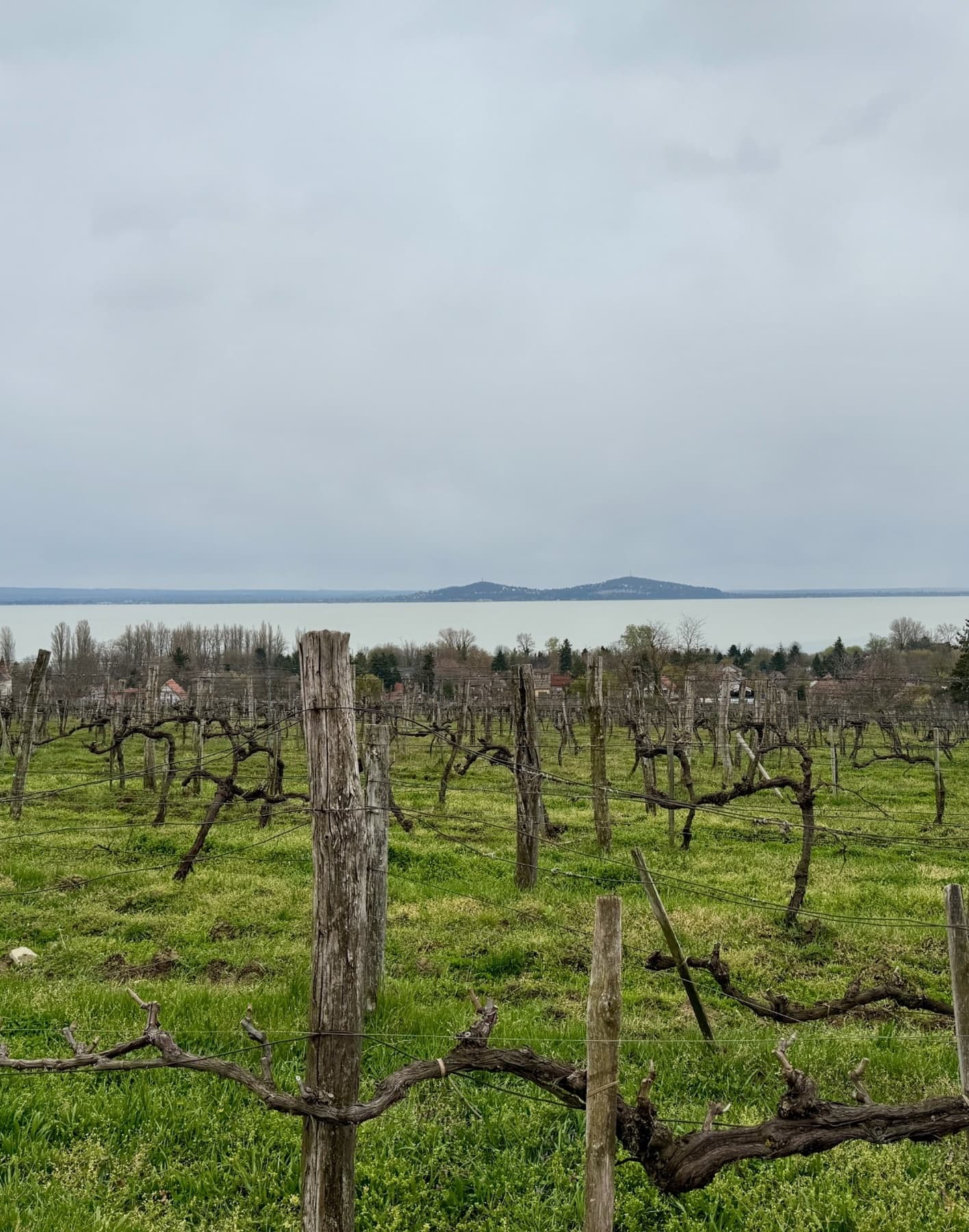 Sip, Savor & Stay: A Wine Lover's Guide to Badacsony, Hungary curated by Elizabeth Smith