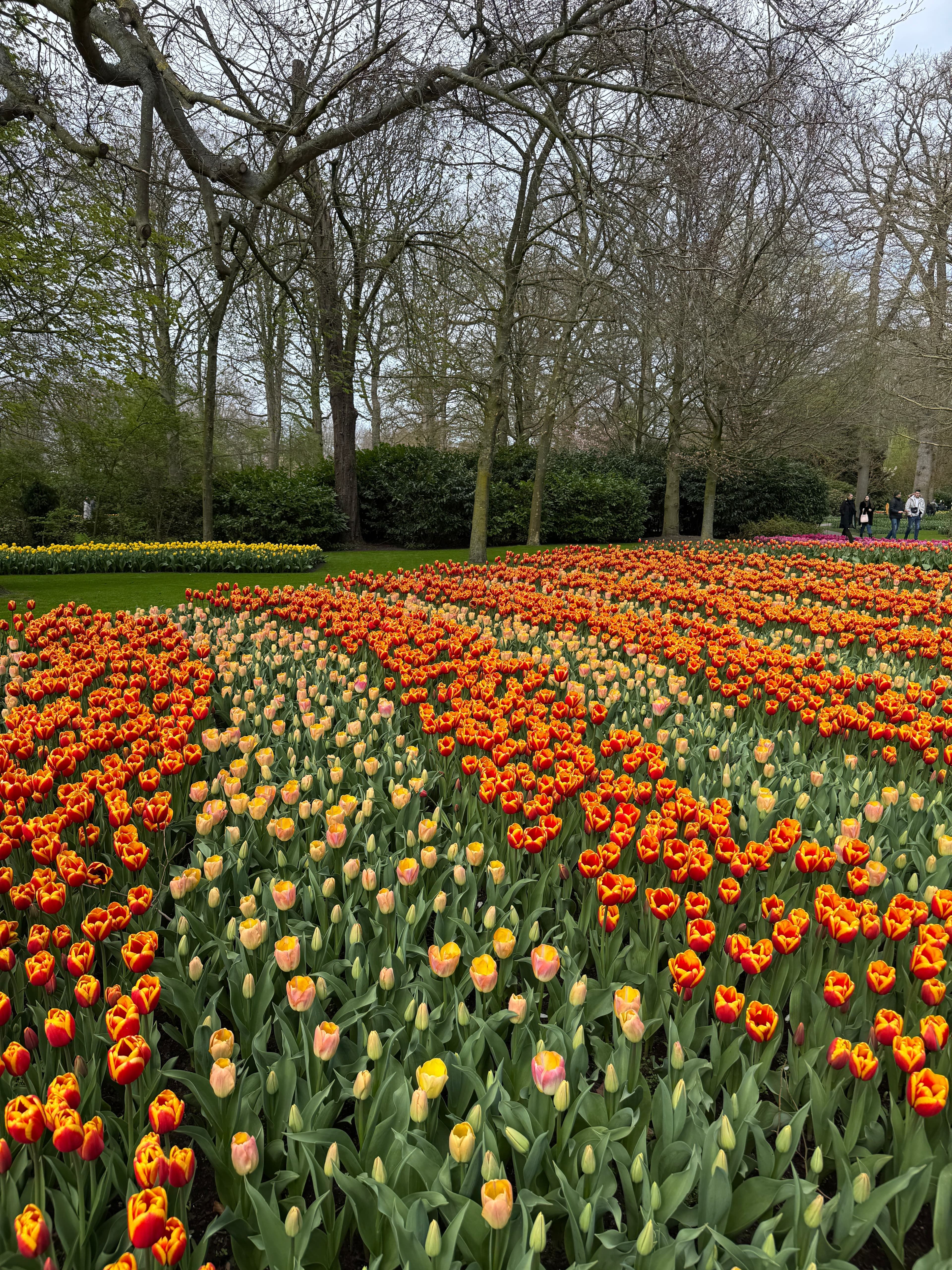 From Harry Potter to Tiptoeing Through Tulips: A Unique Kind of Eurostar Family Vacation curated by Robert Schwartz