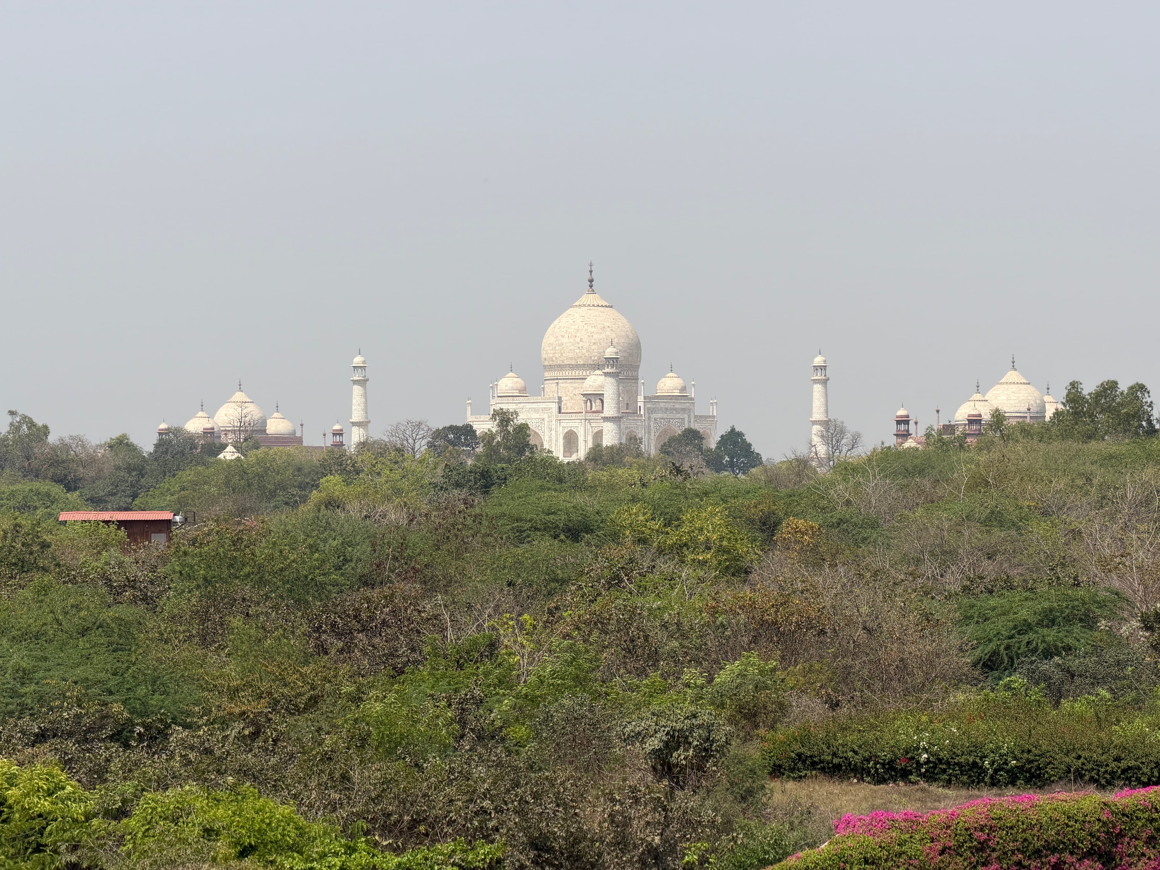Why I Love India curated by Michael Perlo