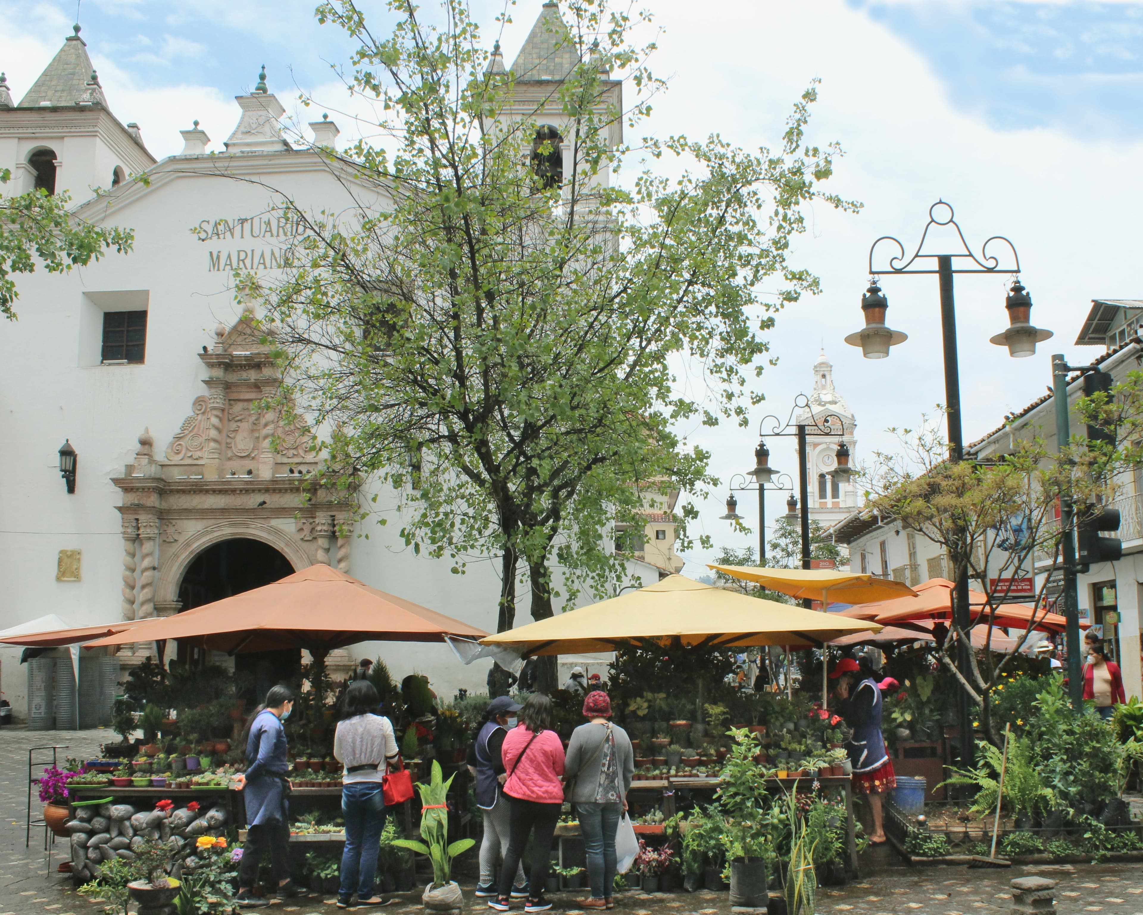 Ecuador’s Andean Highlands: 5 Days curated by Grayson Briggs